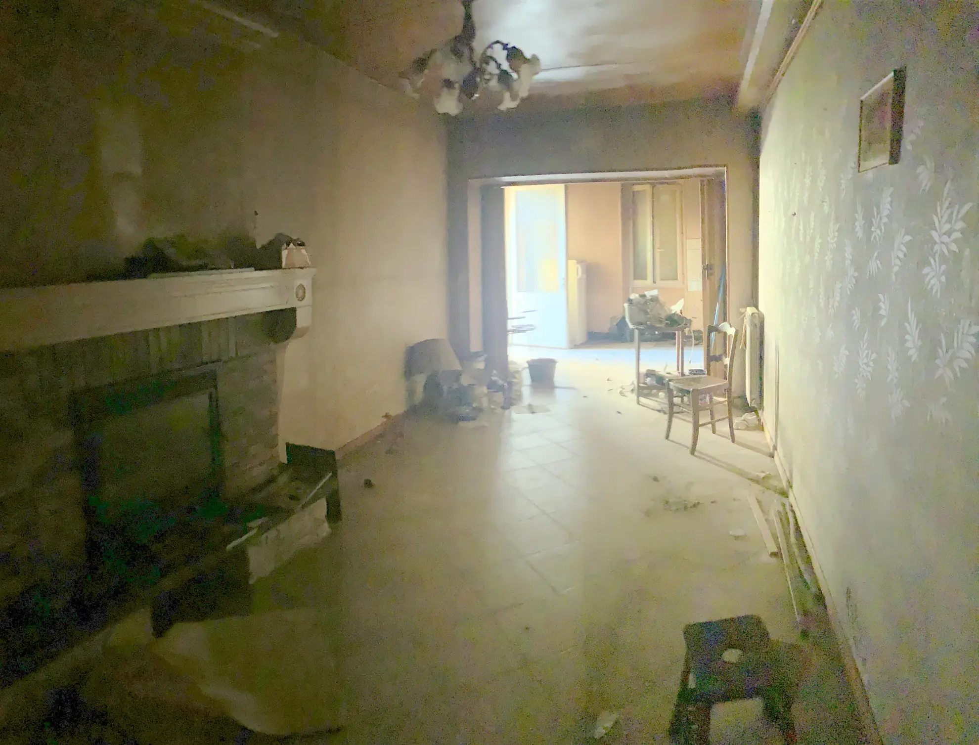 Maison à rénover de 100 m² avec dépendances à Cresse (17160), grand potentiel 