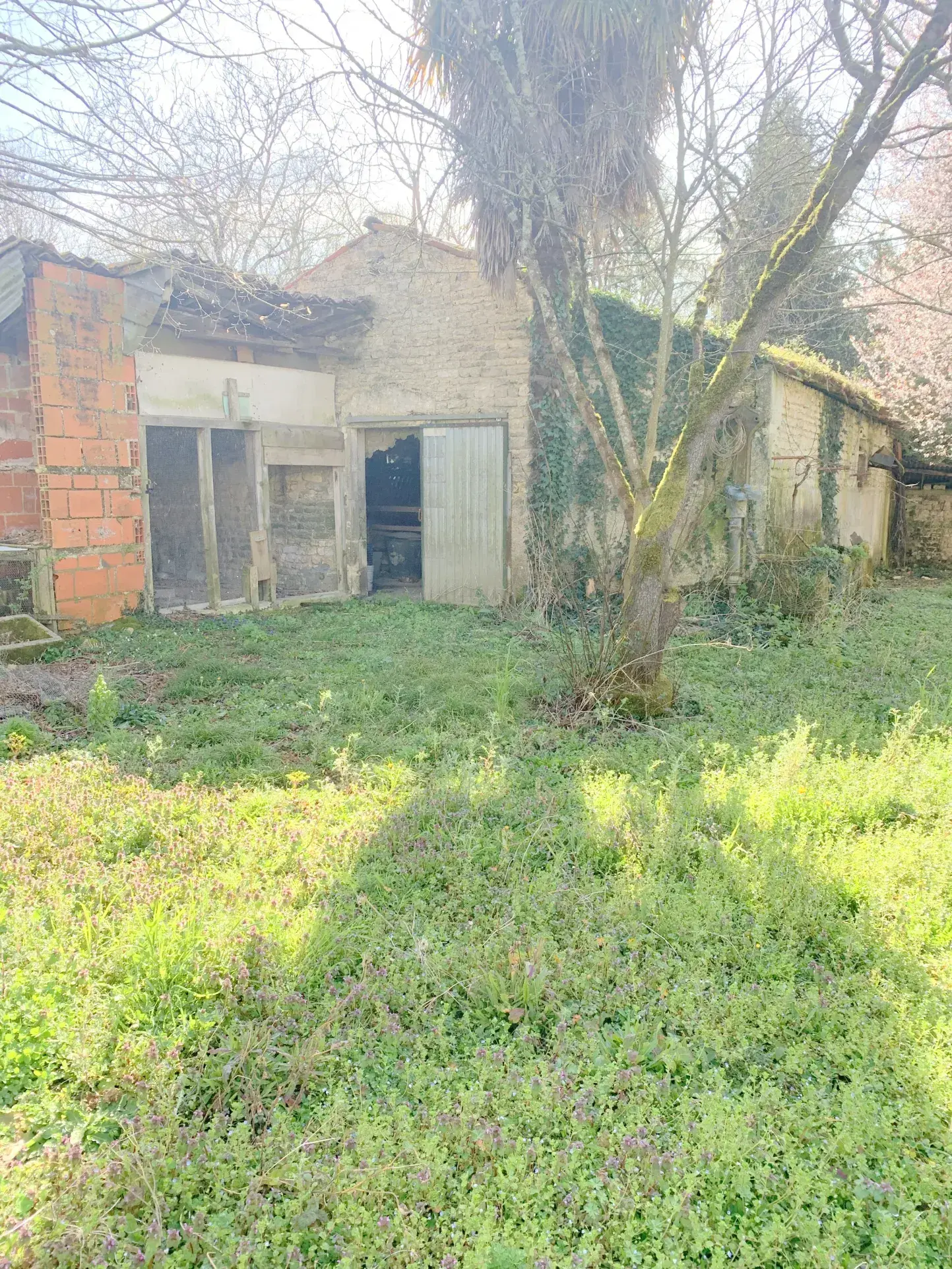 Maison à rénover de 100 m² avec dépendances à Cresse (17160), grand potentiel 