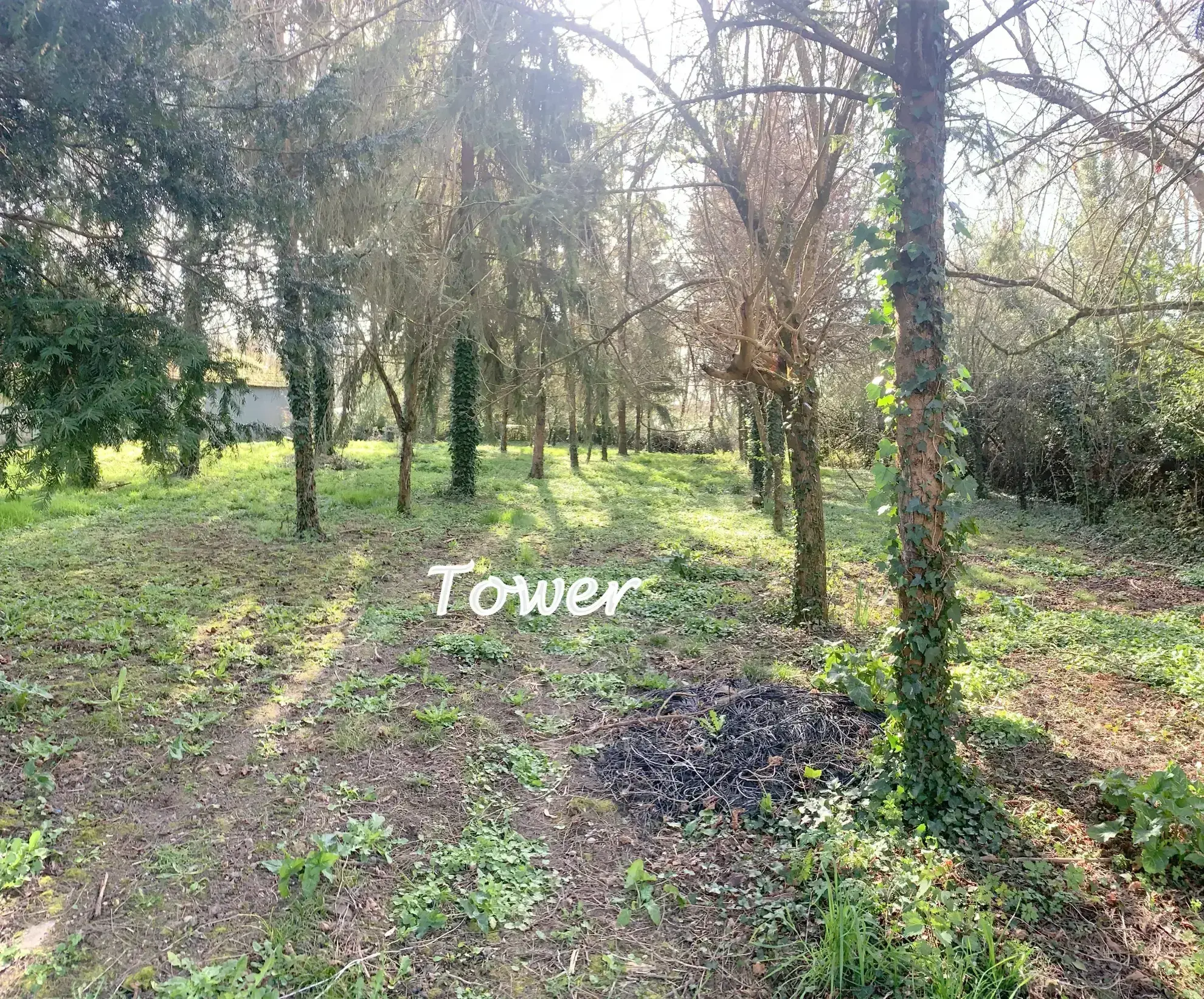 Maison à rénover de 100 m² avec dépendances à Cresse (17160), grand potentiel 