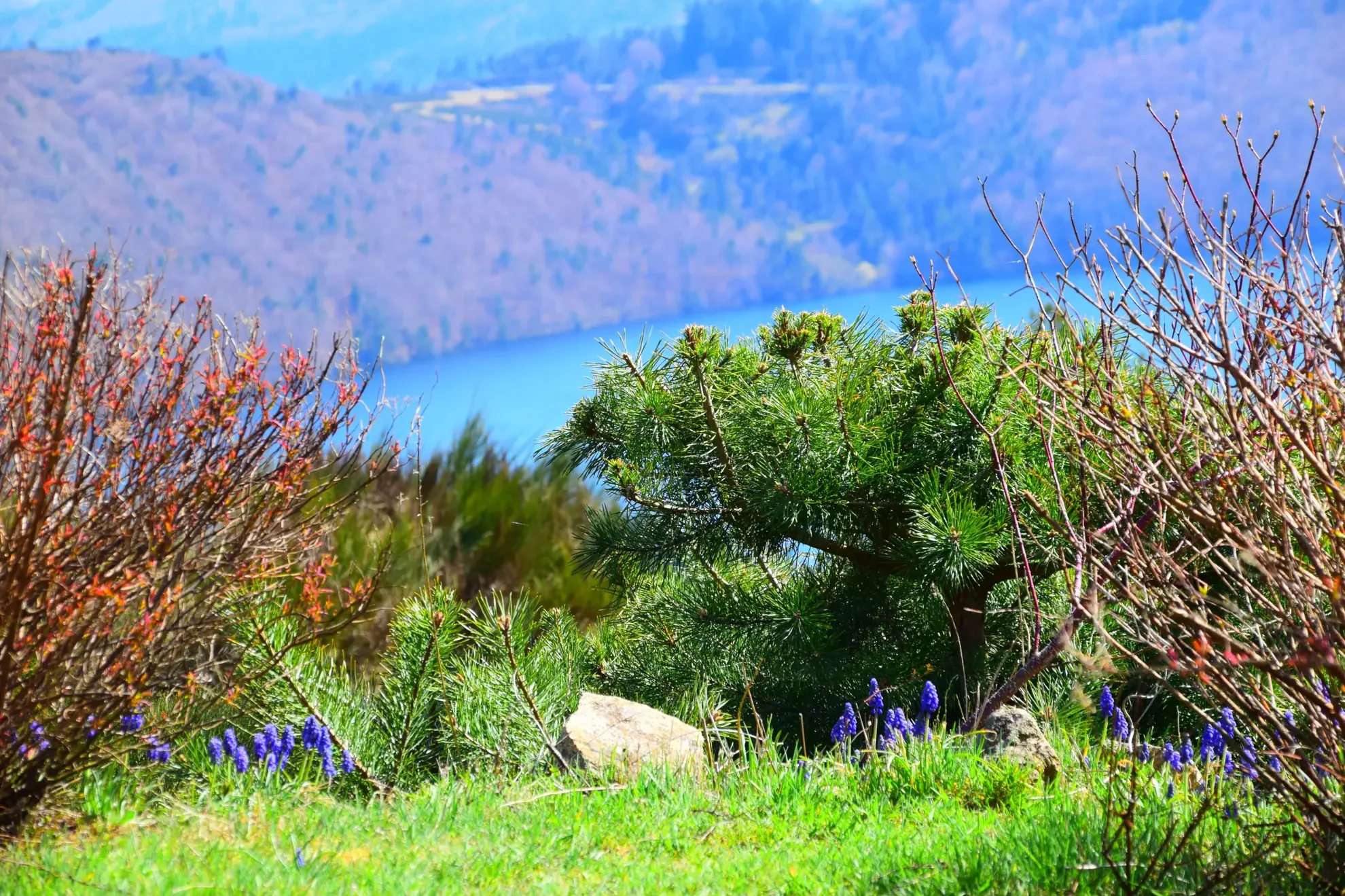 Villa unique avec vue panoramique sur le lac d’Issarlès en Ardèche 