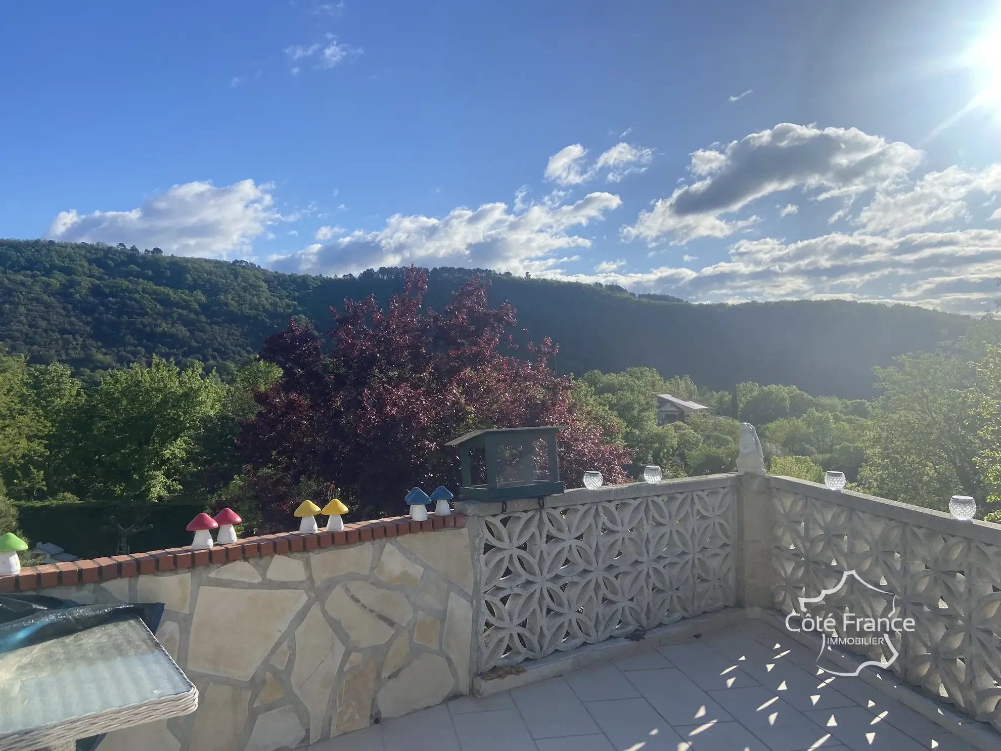 Grande maison avec gîte, chambre d’hôte, jacuzzi et vue sur les Cévennes à Molières-sur-Cèze 