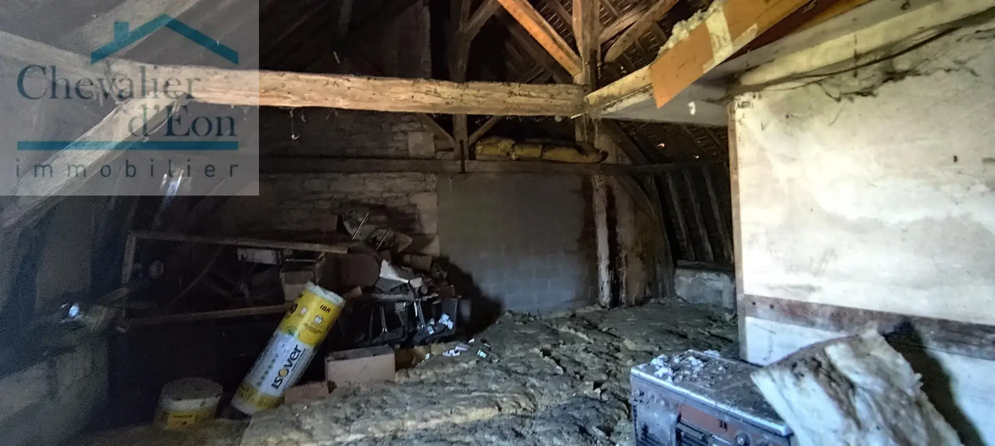 Immeuble multifonctionnel à vendre à Tonnerre avec jardin et terrasse 