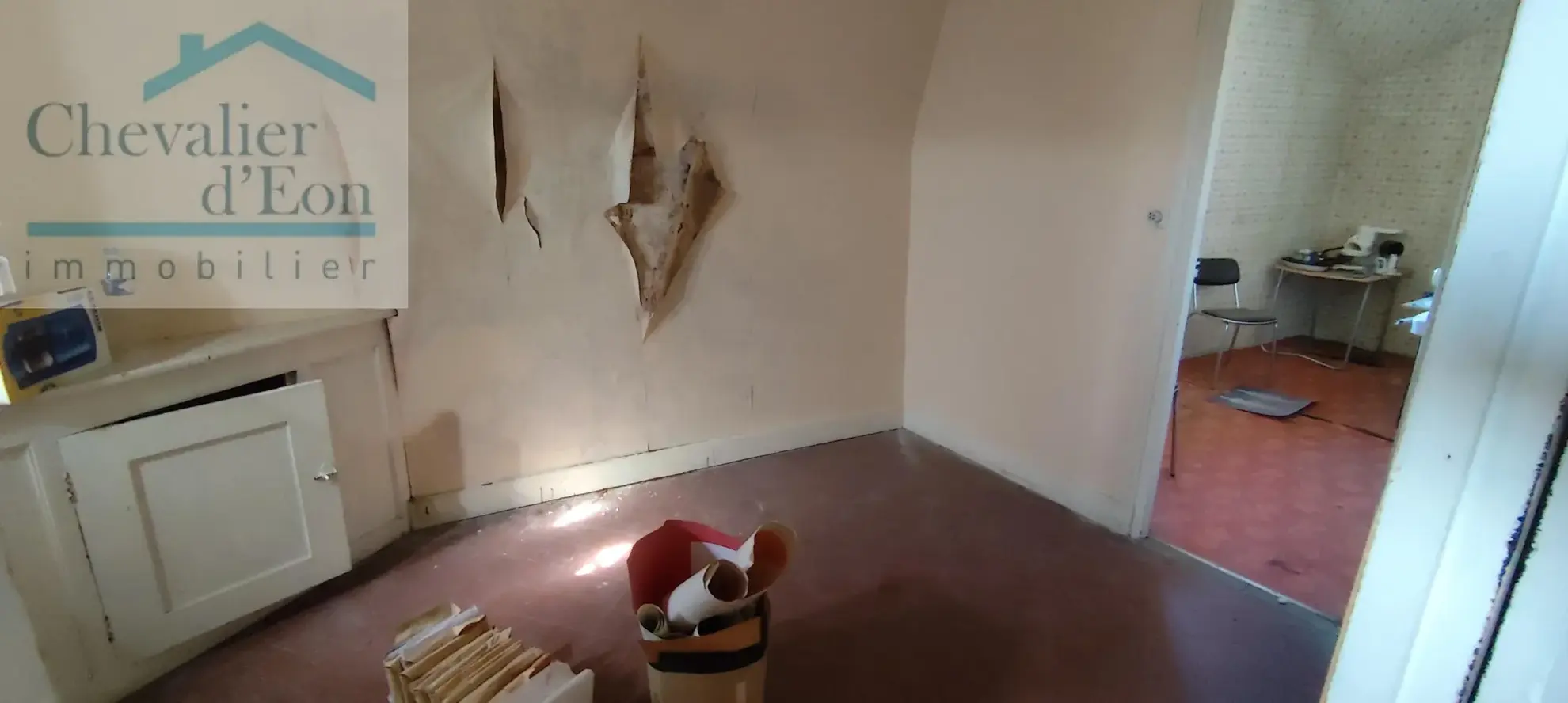 Immeuble multifonctionnel à vendre à Tonnerre avec jardin et terrasse 