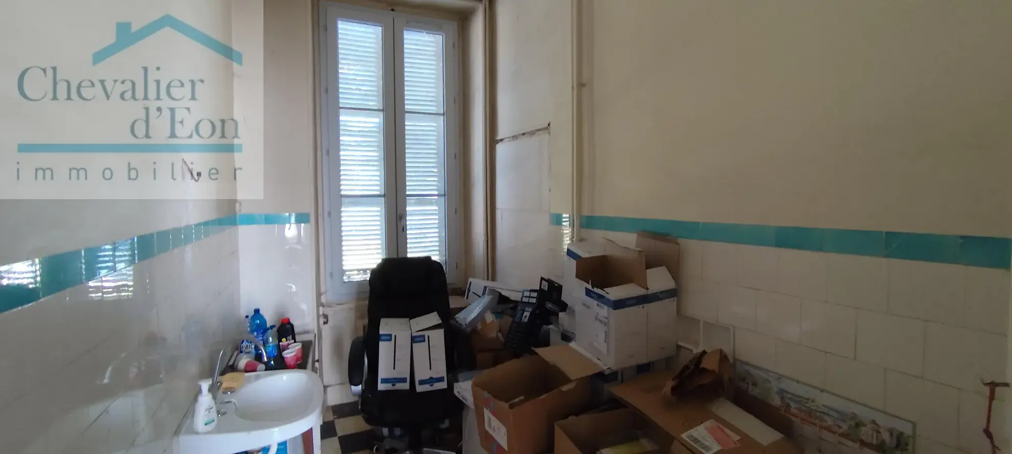 Immeuble multifonctionnel à vendre à Tonnerre avec jardin et terrasse 