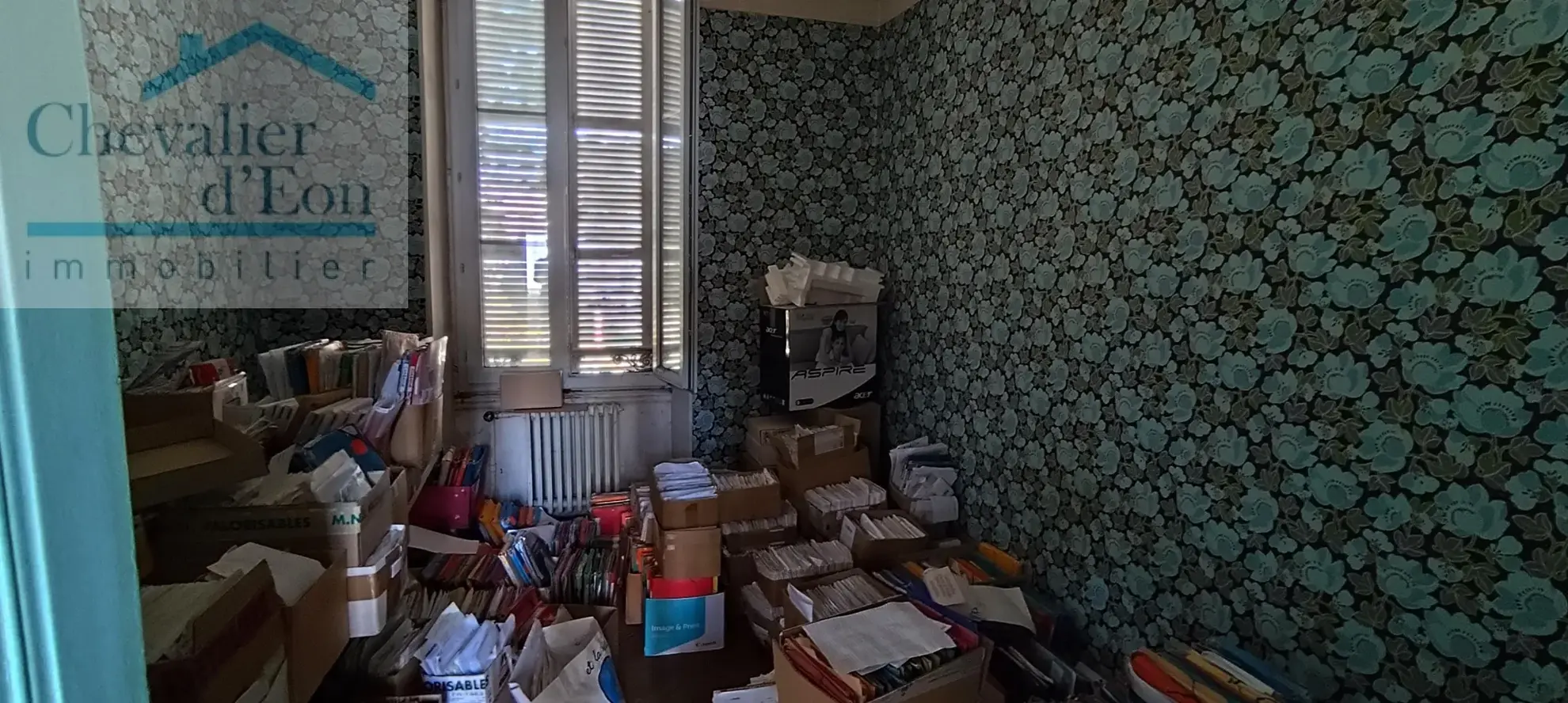 Immeuble multifonctionnel à vendre à Tonnerre avec jardin et terrasse 