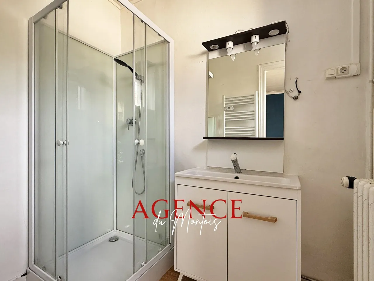 Belle maison à Donnemarie-Dontilly avec jardin, garage et sous-sol 