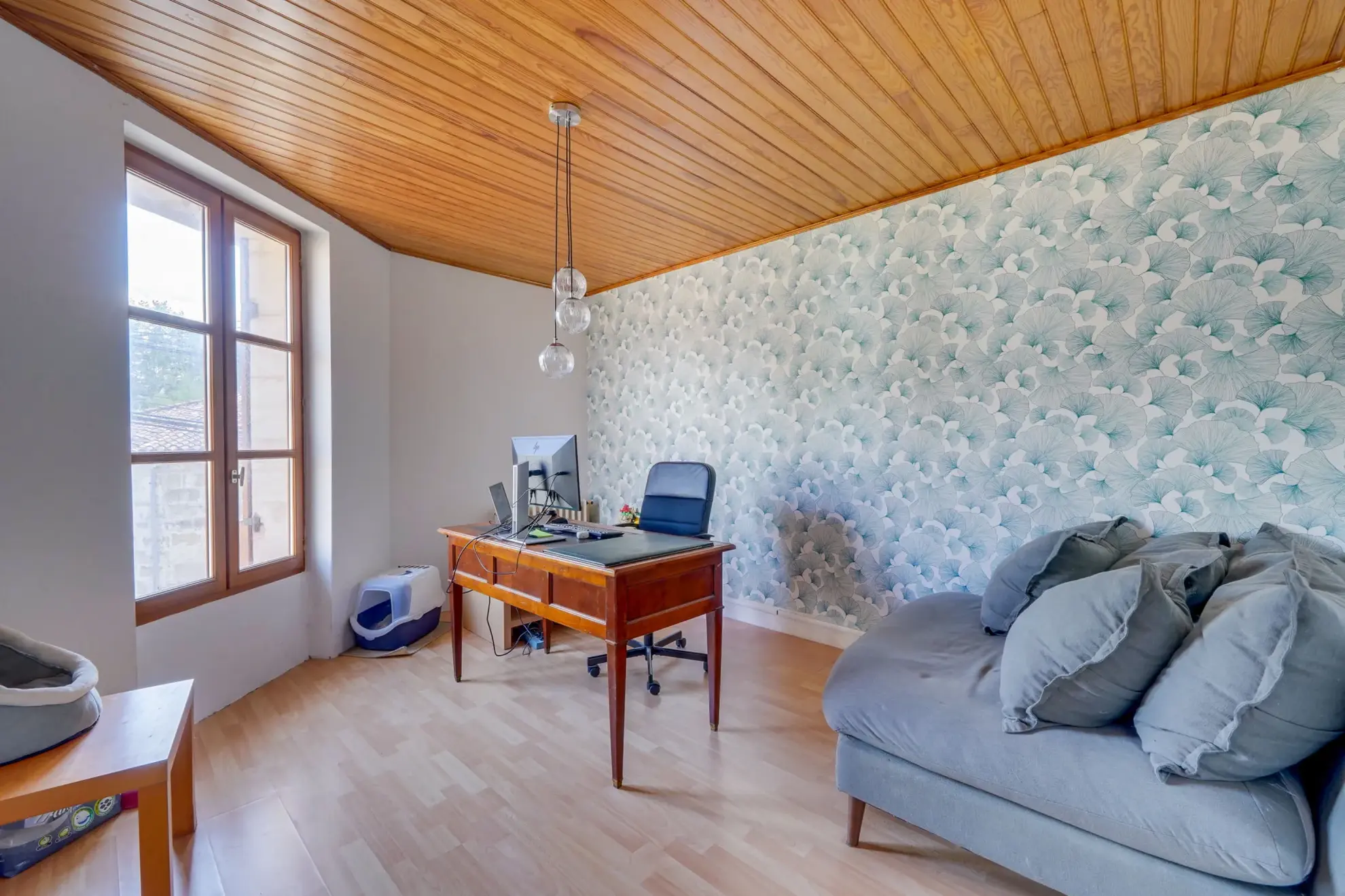 Maison 6 pièces avec dépendances et jardin à Saint Génès de Blaye 