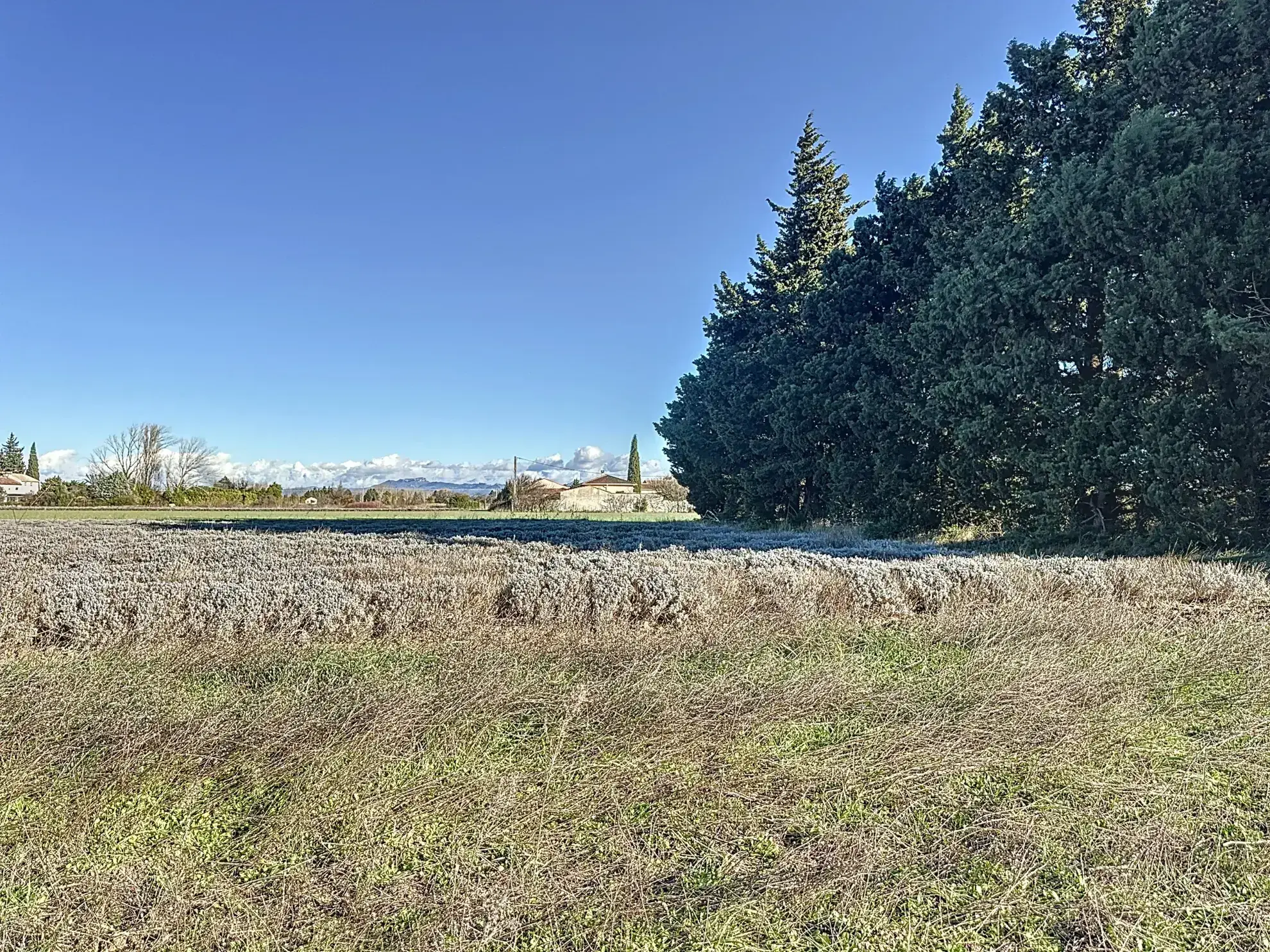 Terrain constructible à Orange avec vue dégagée sur Ventoux et Dentelles de Montmirail 