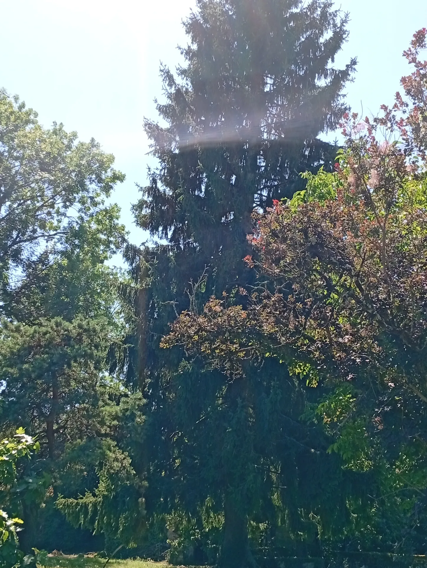 Maison d'hôtes de luxe avec 8 chambres, studio, spa et jardin en Dordogne à Miers 