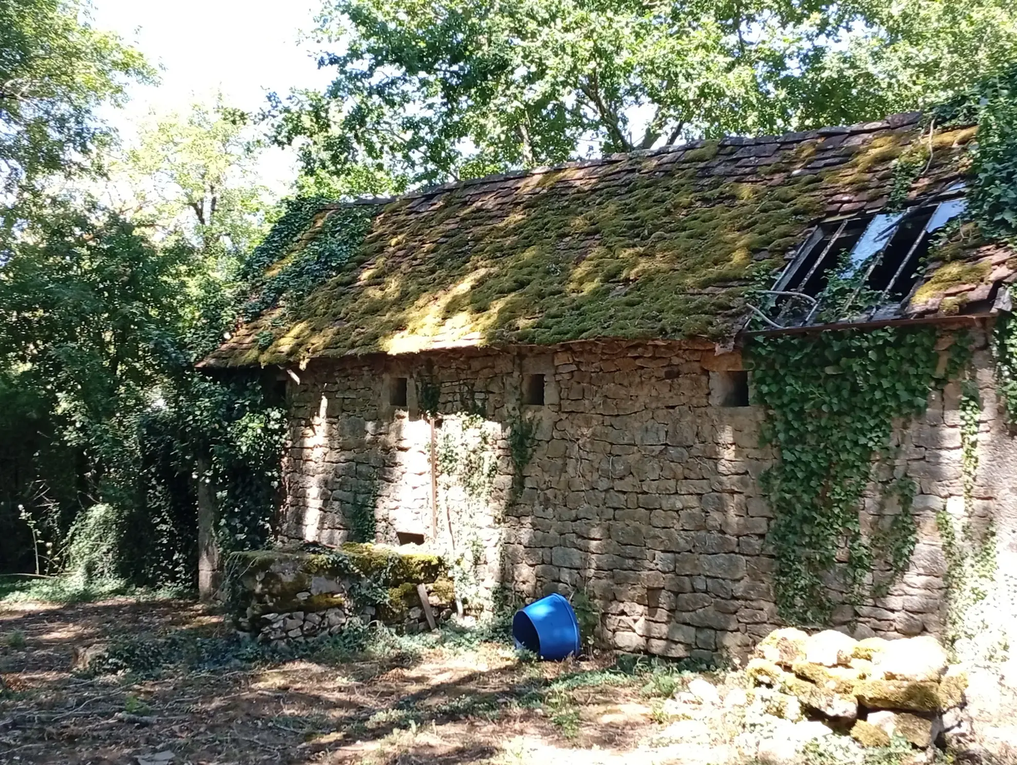 Maison d'hôtes de luxe avec 8 chambres, studio, spa et jardin en Dordogne à Miers 