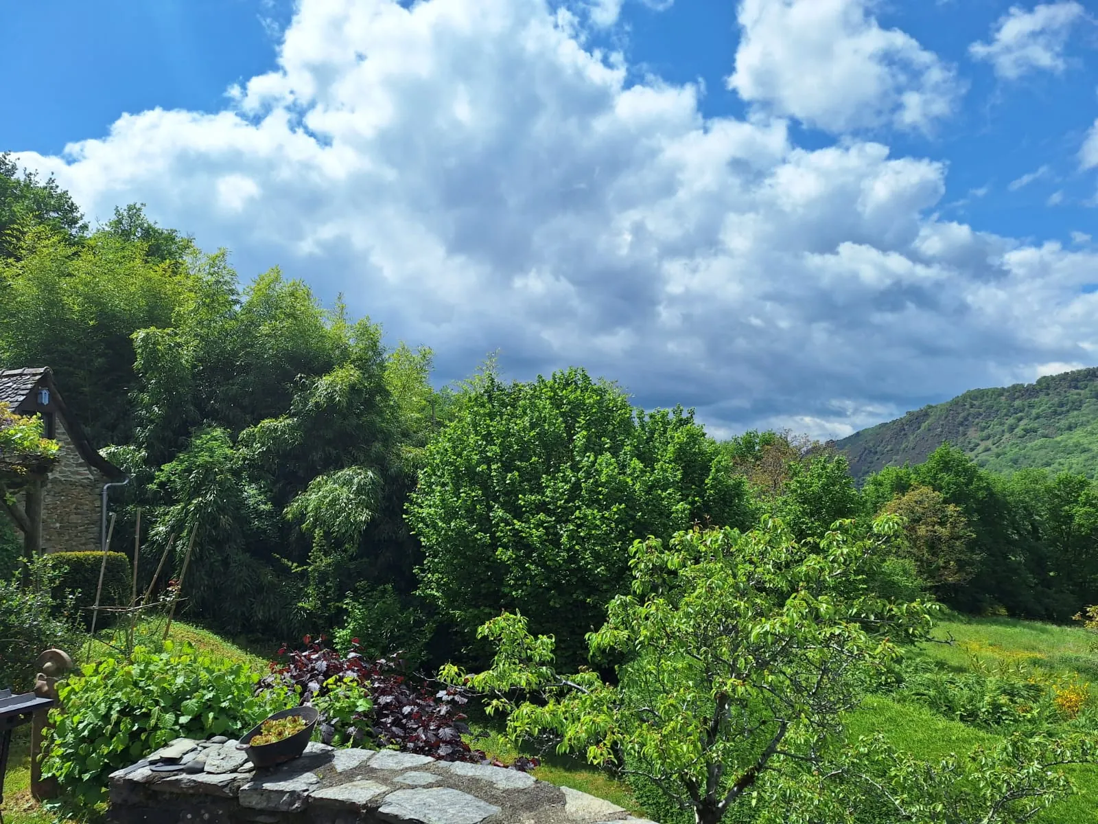 Maison d'été avec vue sur la vallée du Lot à Conques-en-Rouergue 