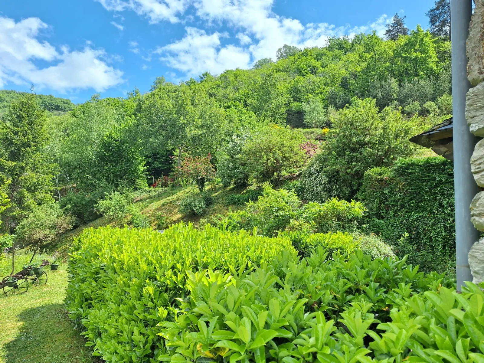 Maison d'été avec vue sur la vallée du Lot à Conques-en-Rouergue 