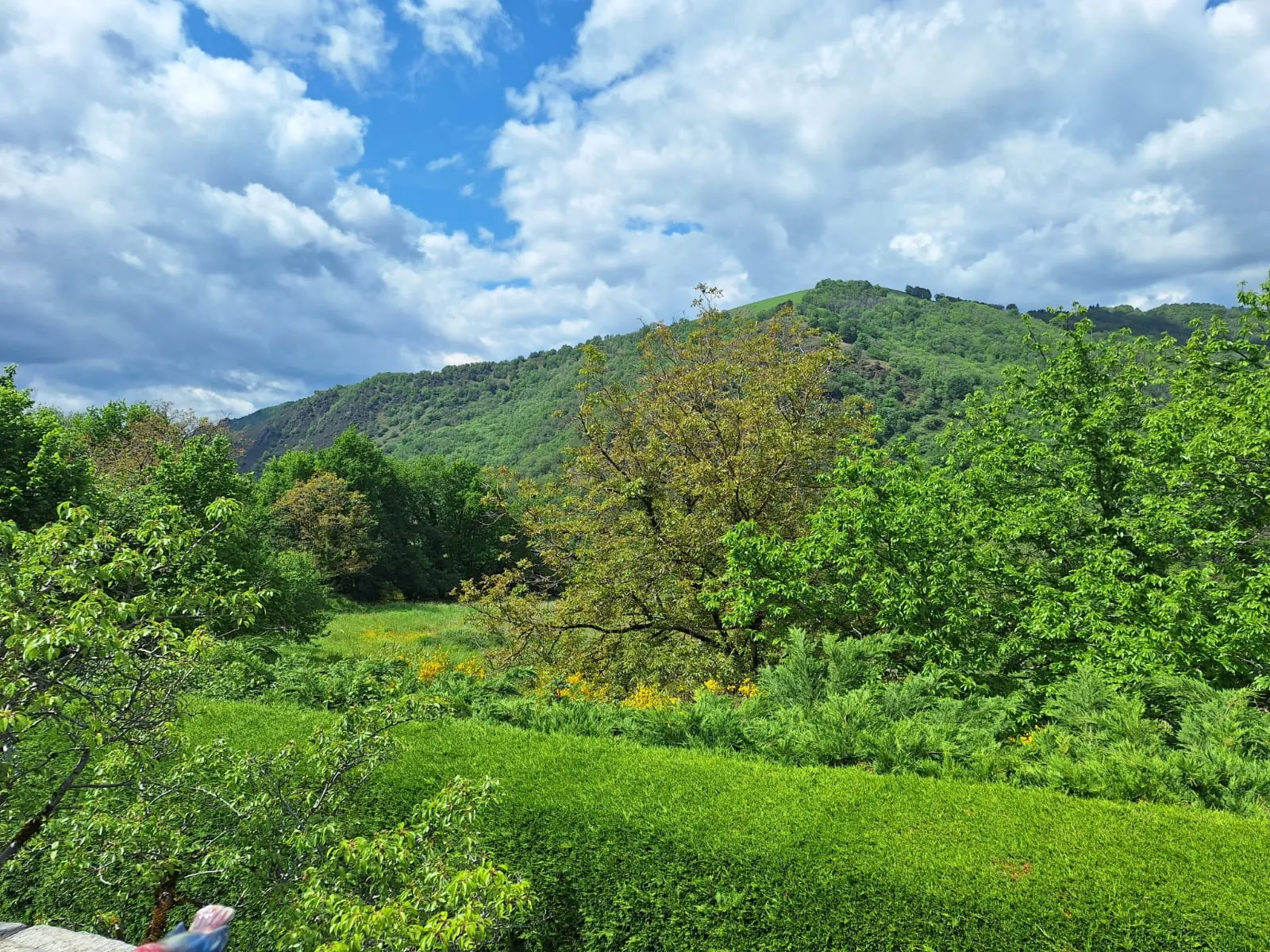 Maison d'été avec vue sur la vallée du Lot à Conques-en-Rouergue 