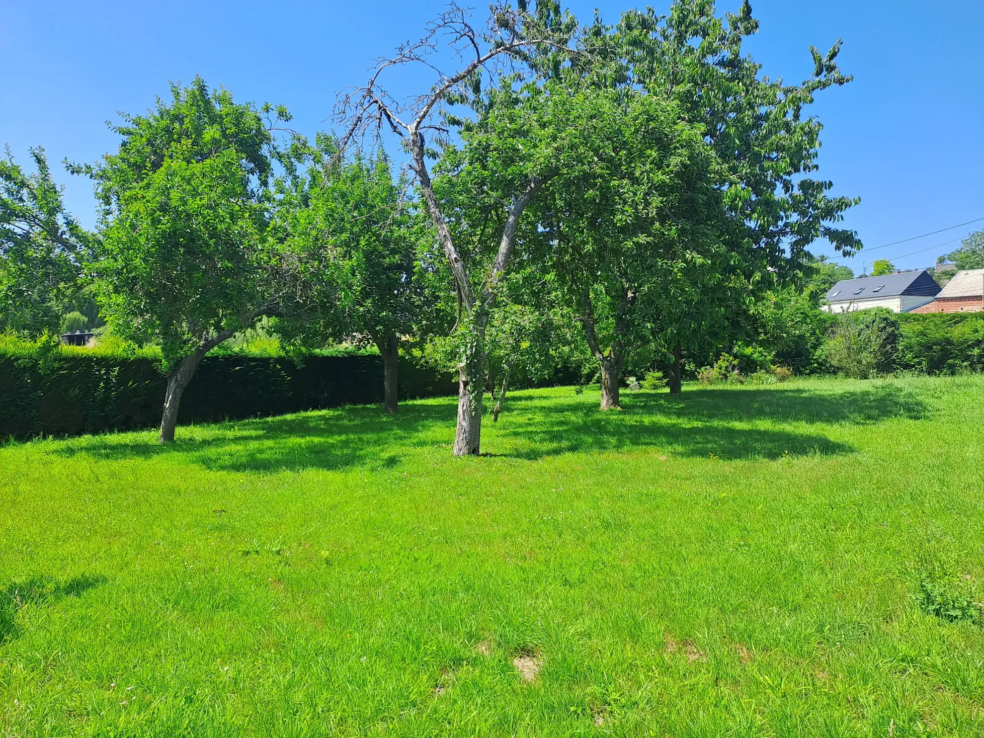 À vendre maison avec vue panoramique à Malzy, terrain de 6 472 m² dans un cadre paisible en Aisne 