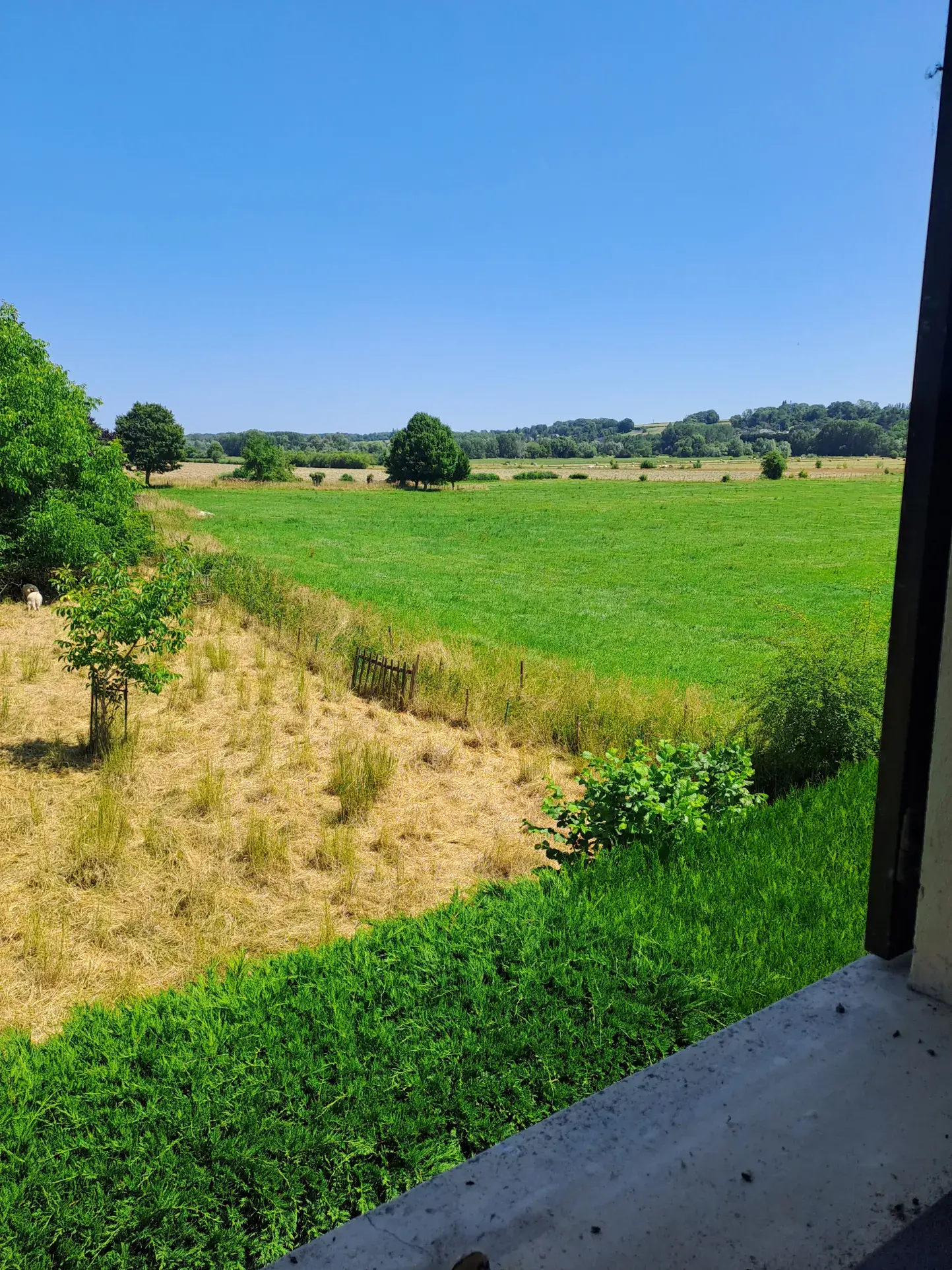 À vendre maison avec vue panoramique à Malzy, terrain de 6 472 m² dans un cadre paisible en Aisne 