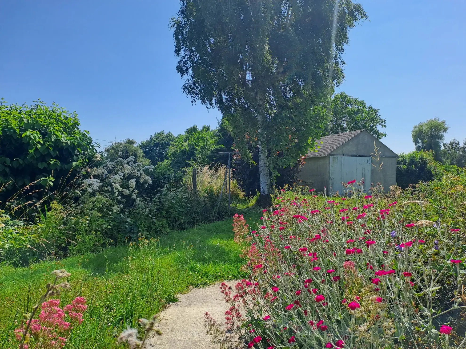 À vendre maison avec vue panoramique à Malzy, terrain de 6 472 m² dans un cadre paisible en Aisne 