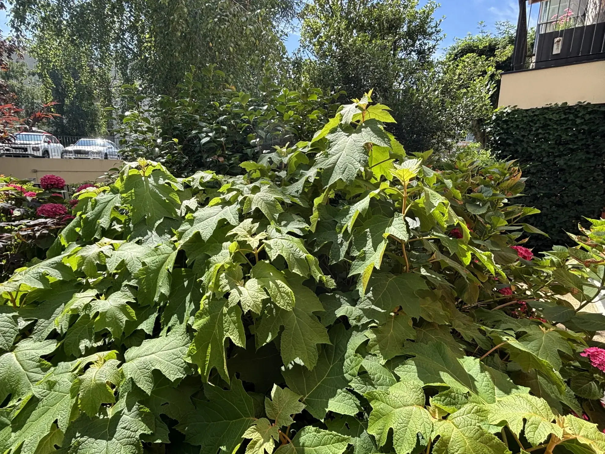 Grand studio avec loggia à Le Chesnay près de Parly2 – Vue dégagée et environ 34 m² 