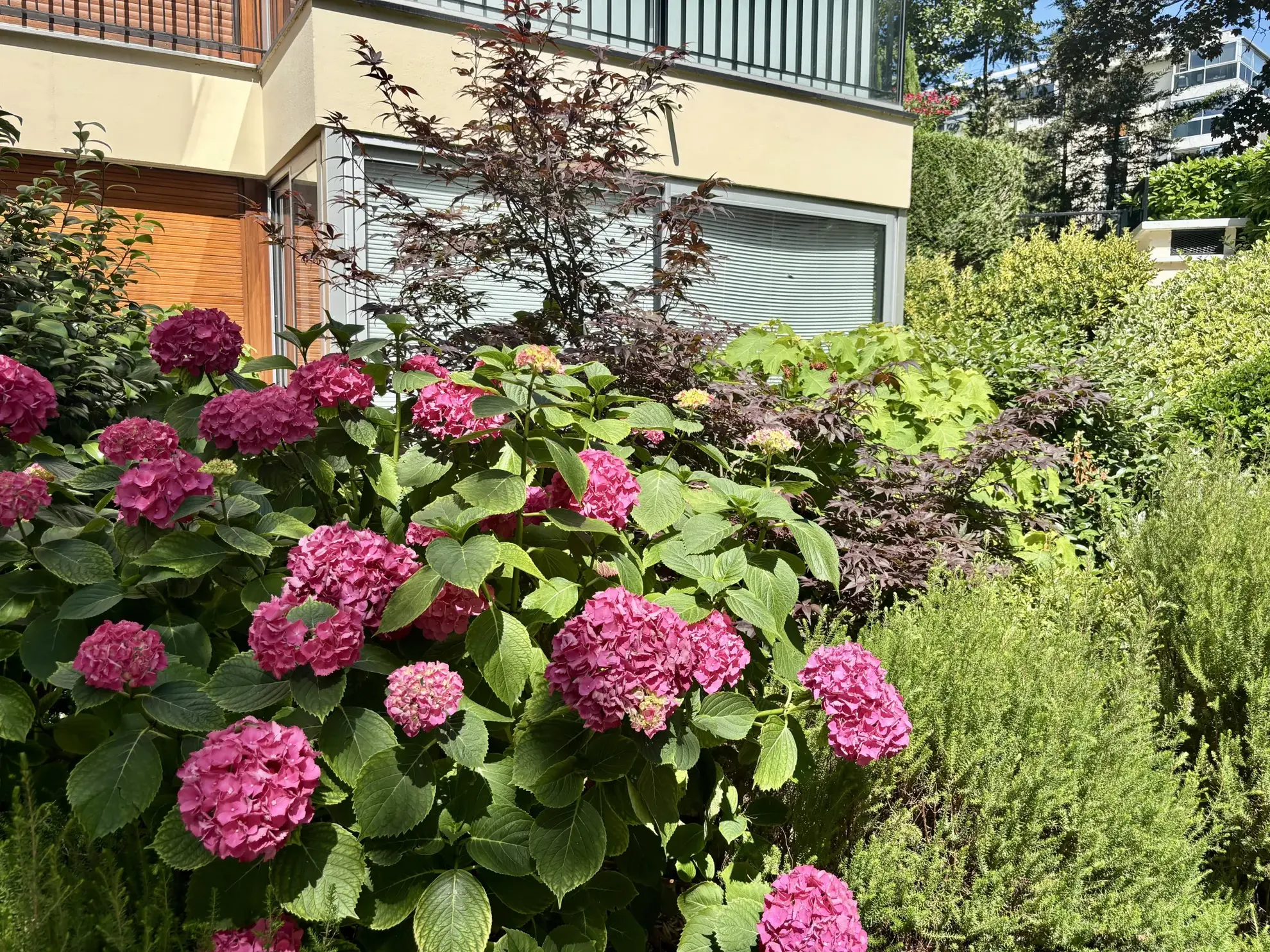 Grand studio avec loggia à Le Chesnay près de Parly2 – Vue dégagée et environ 34 m²