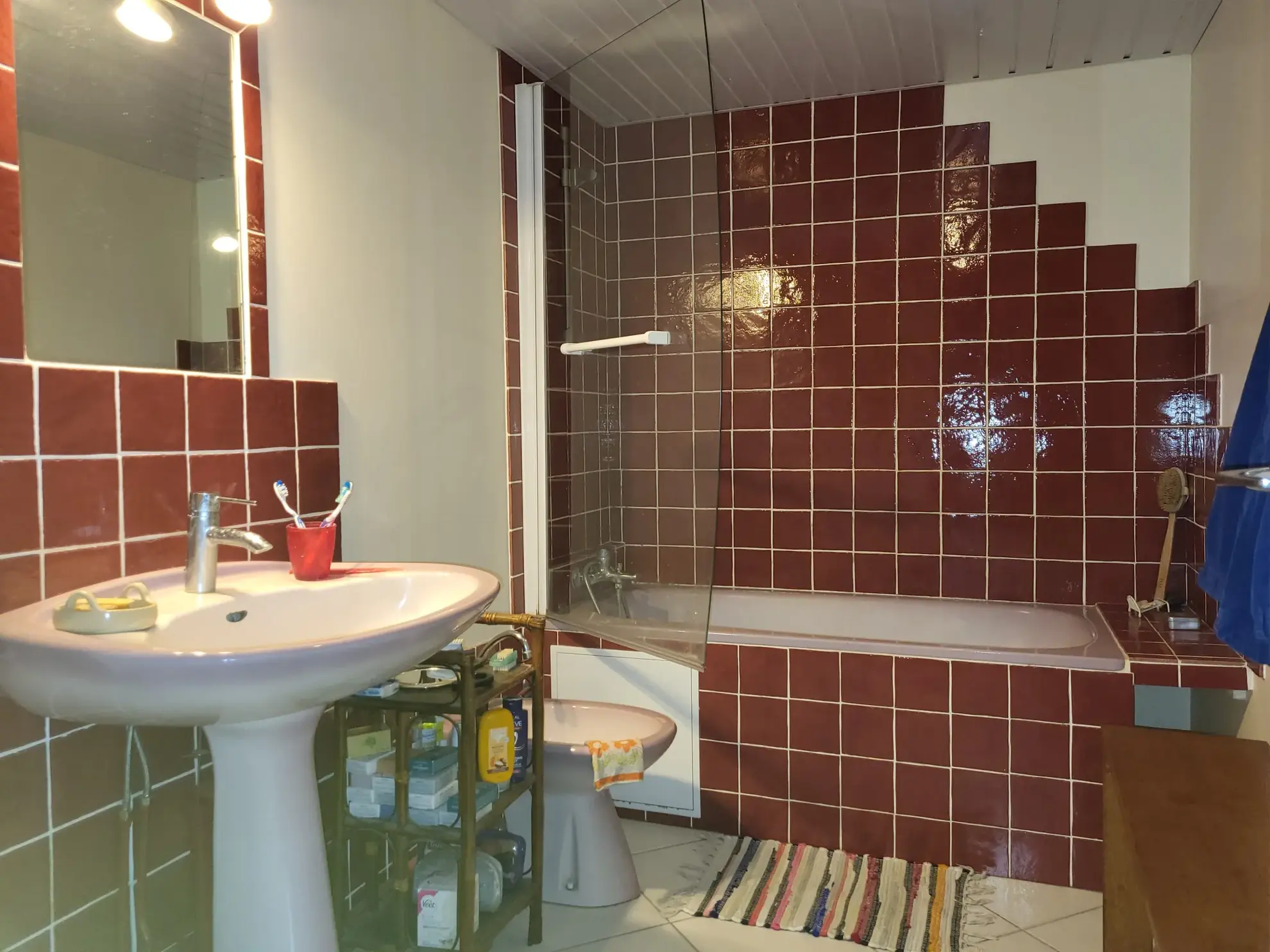 À vendre maison authentique de 200 m² à Chapelle-Voland avec dépendances et terrain arboré 