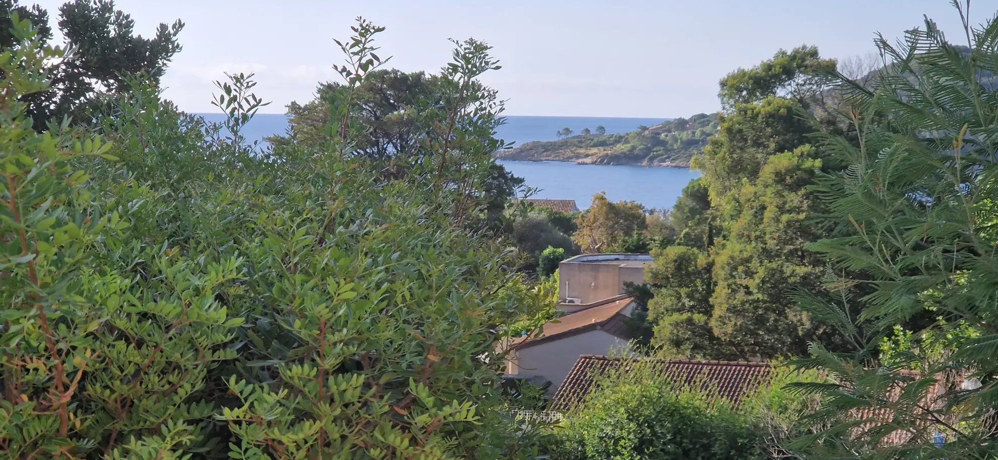 Maison en Corse avec vue mer, piscine et location en bail commercial 
