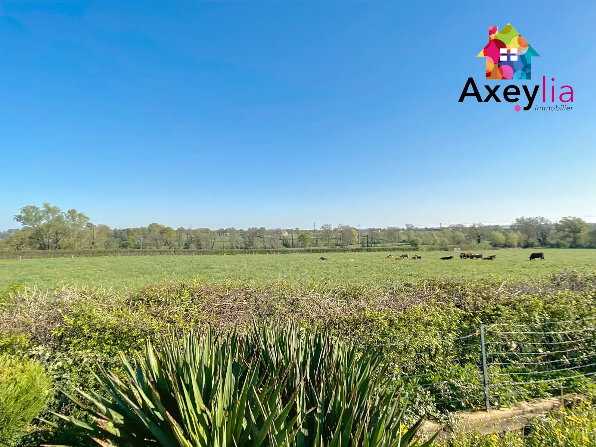 Maison de plain-pied avec 4 chambres, piscine et grand terrain à Saint-Romain-la-Motte 