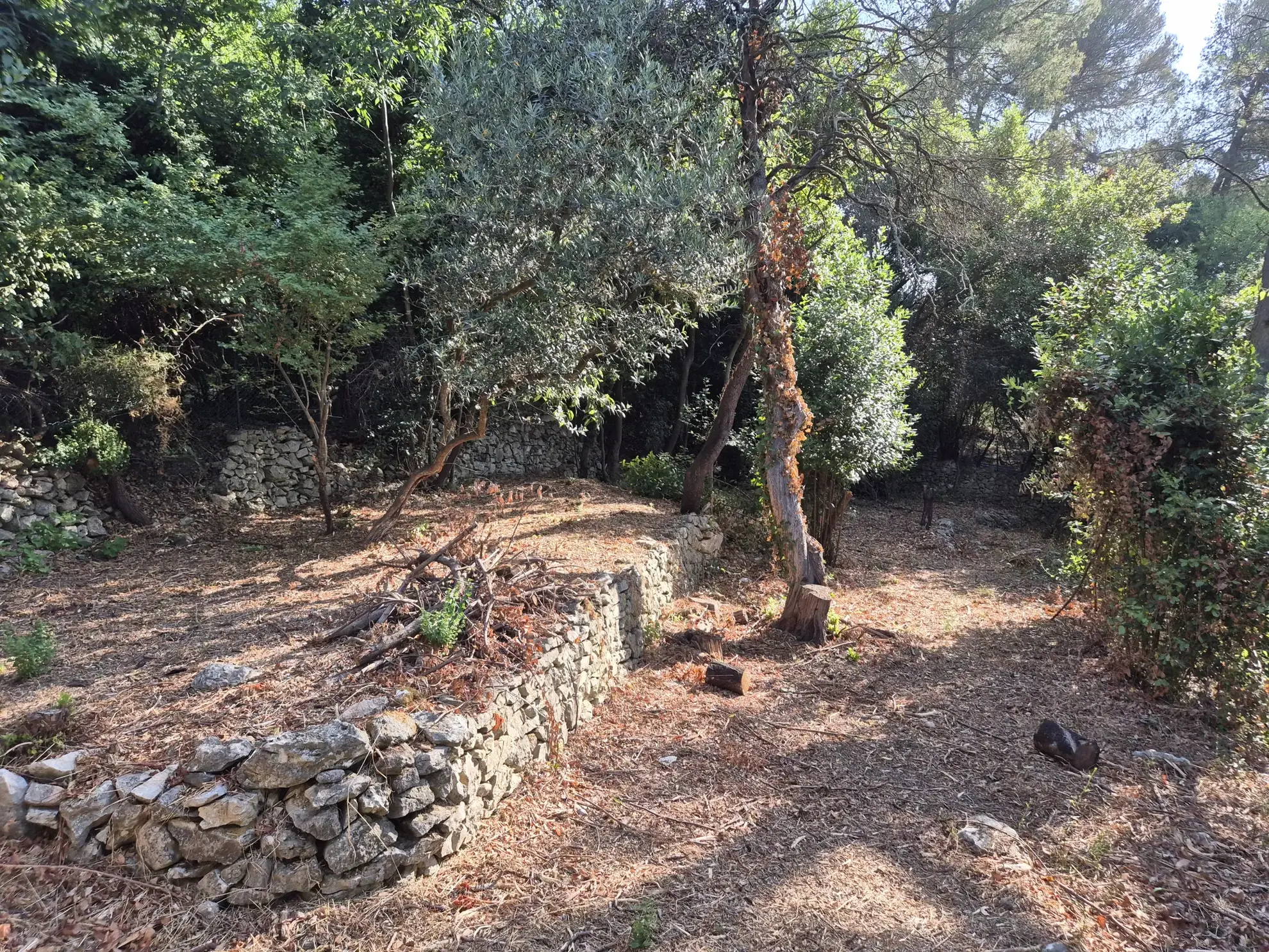 A vendre mazet à rénover de 25 m² à Nîmes, terrain arboré de 982 m² 