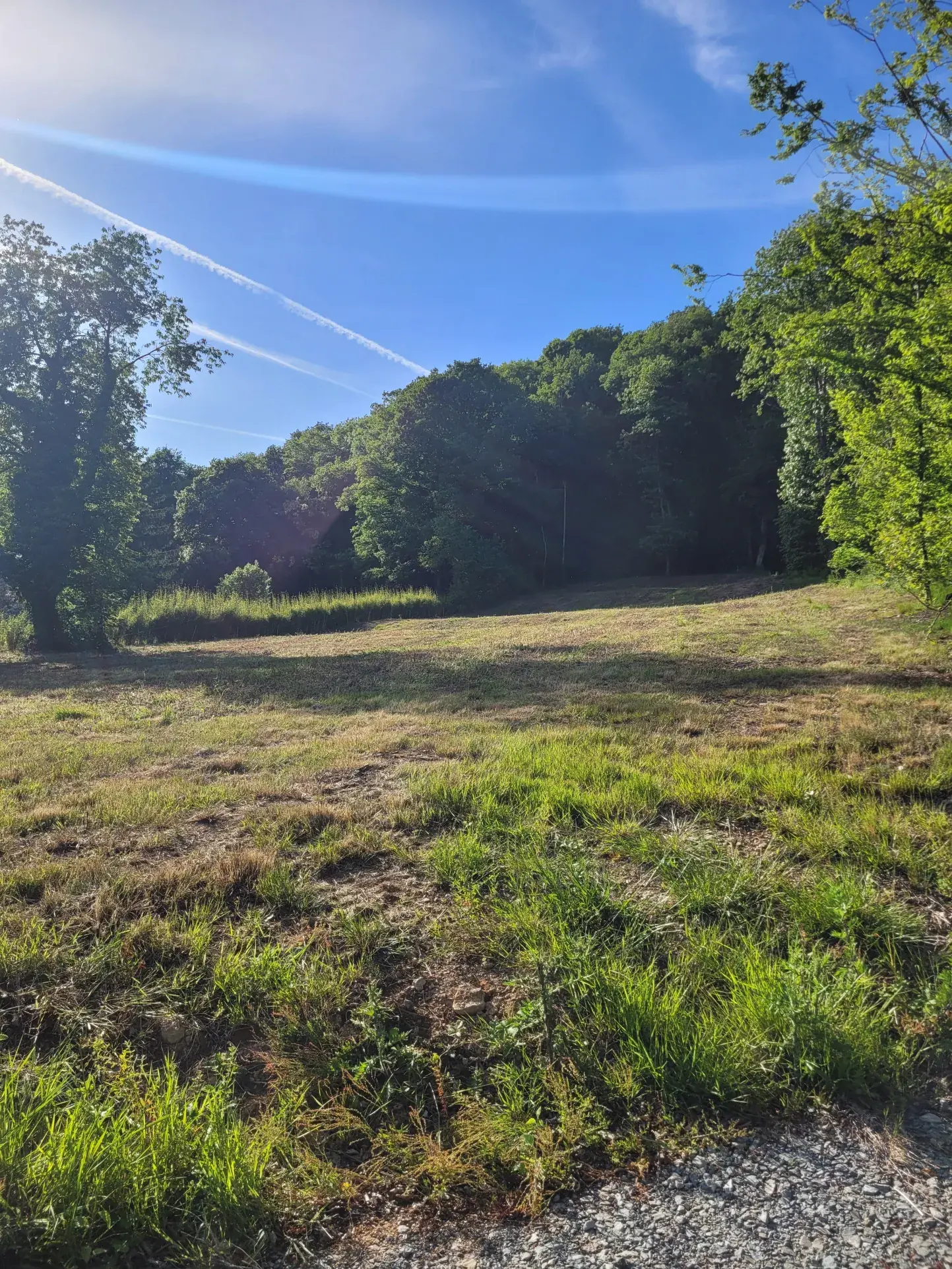 Terrain constructible de 26 ares à Rougemont-Le-Château - Idéal pour votre maison moderne 