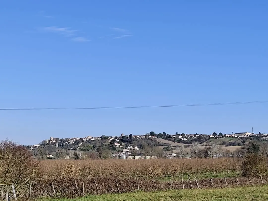 Maison à vendre à Duras 47120 - Charmante maison de campagne avec grand terrain et rénovations possibles 