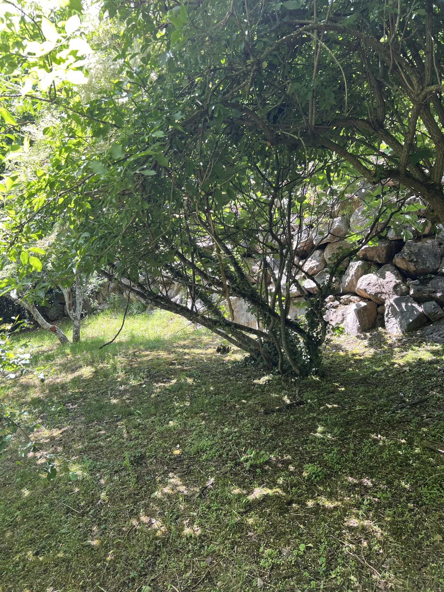 Maison 3 chambres avec sous-sol complet et vue dégagée à Damiatte dans le Tarn 