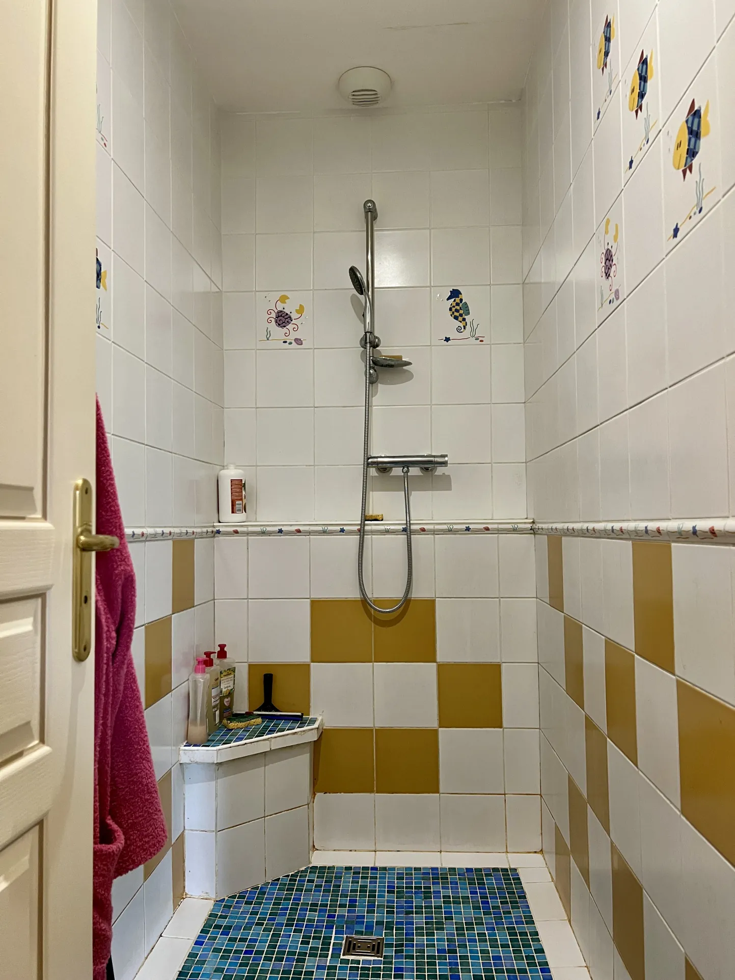 Maison 3 chambres avec sous-sol complet et vue dégagée à Damiatte dans le Tarn 