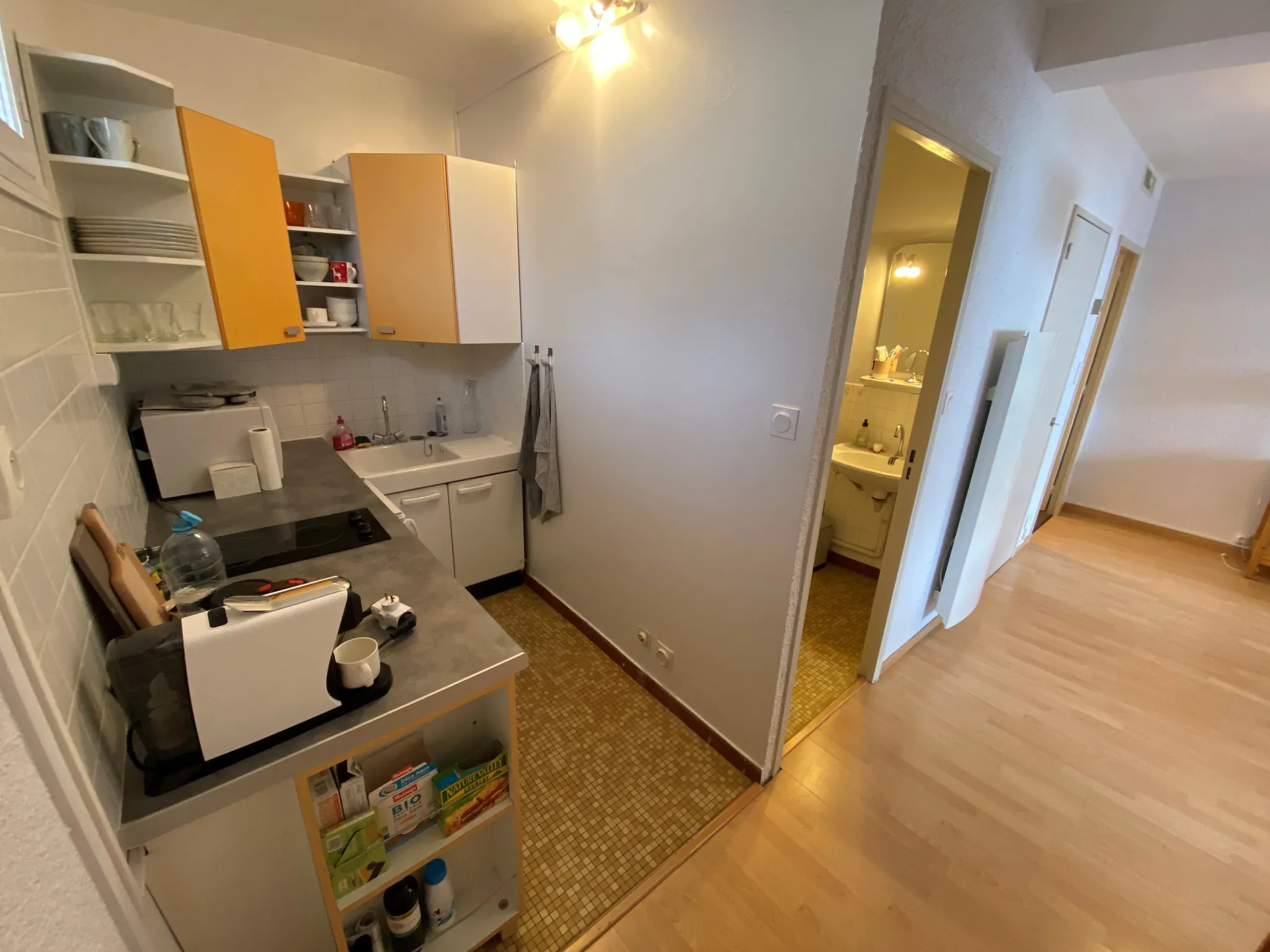 Bel appartement de 37,76 m² avec balcon à St Sorlin d'Arves, idéal pour pied-à-terre ou investissement 