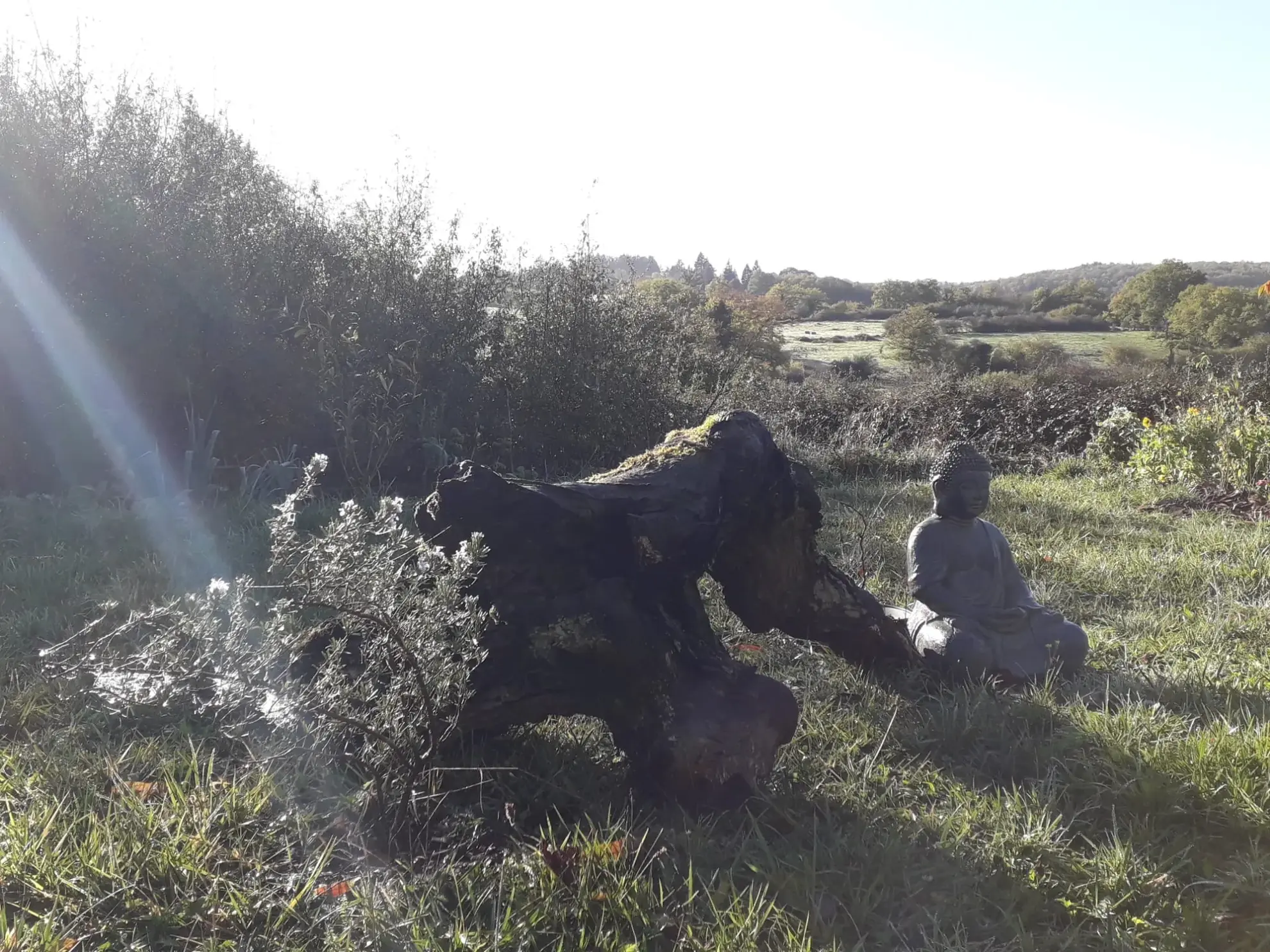 Spacieuse maison de 118 m² à La Roche-en-Brenil avec jardin et potentiel professionnel 