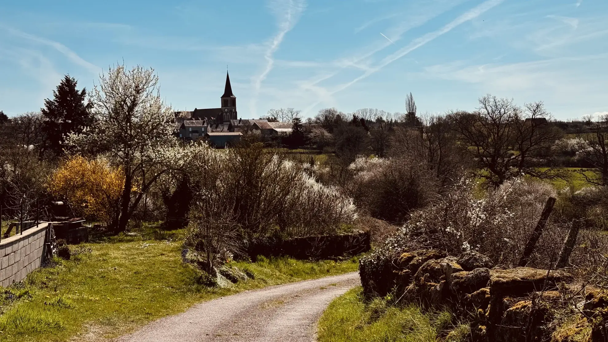 Spacieuse maison de 118 m² à La Roche-en-Brenil avec jardin et potentiel professionnel 