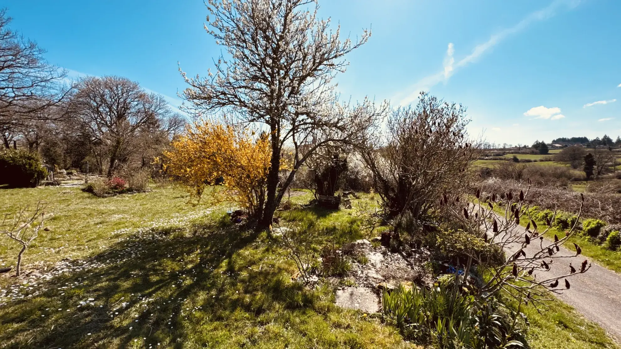Spacieuse maison de 118 m² à La Roche-en-Brenil avec jardin et potentiel professionnel 