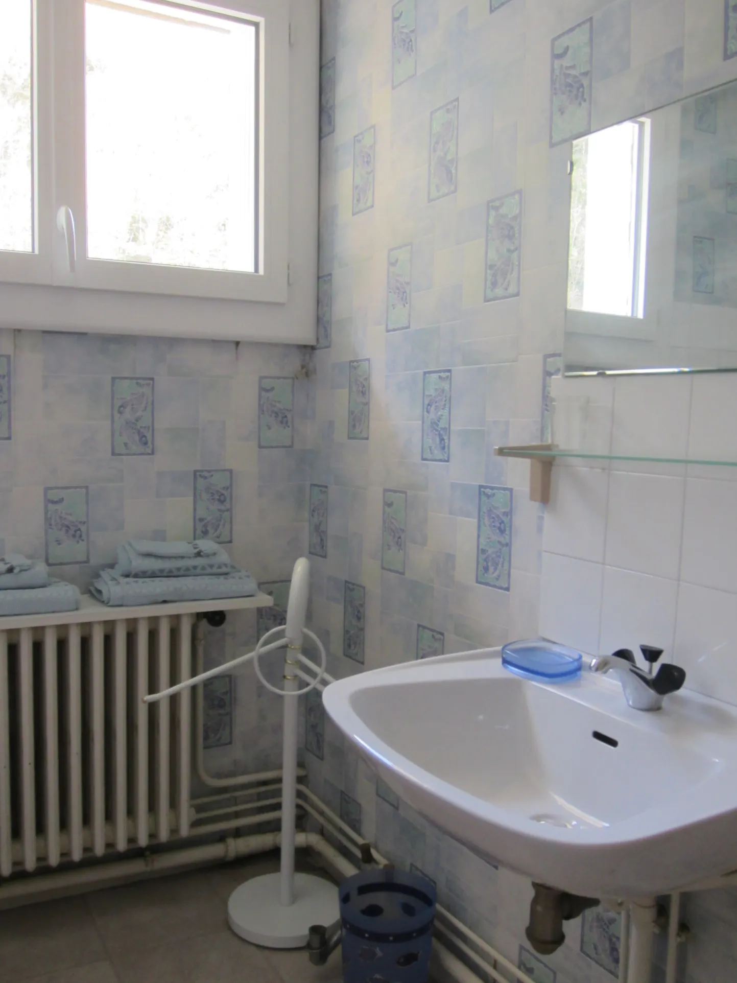 Appartement T2 avec vue montagne à Salau - Résidence secondaire ou locatif 