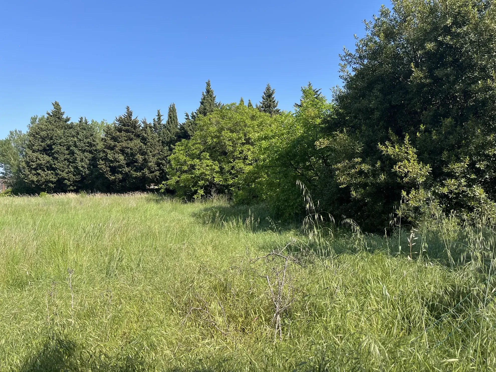 Terrain constructible à Courthezon de 369 m² avec permis validé