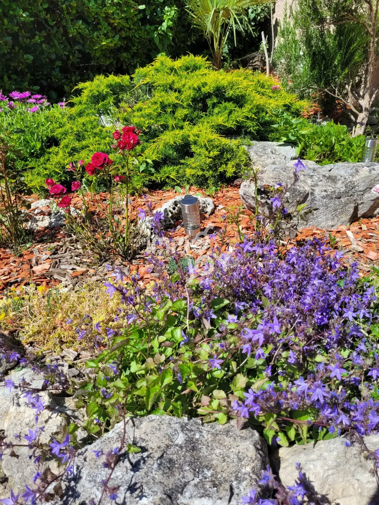 Maison 4 chambres avec piscine à Villemoustaussou - 150 m² 