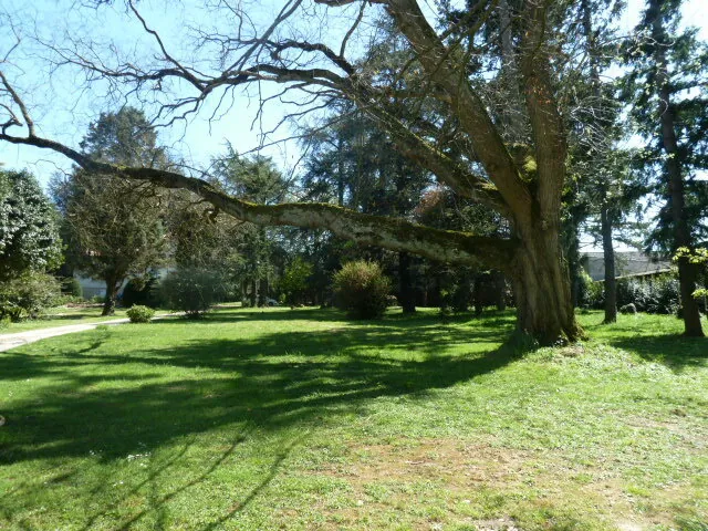 Belle maison familiale avec parc, piscine et dépendances à Montayral 