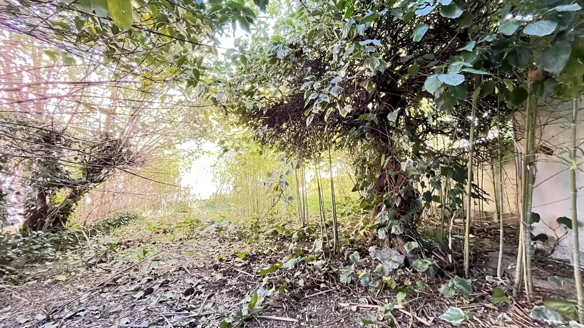Maison à rénover avec jardin à Alès - Secteur Clavières-Croupillac 