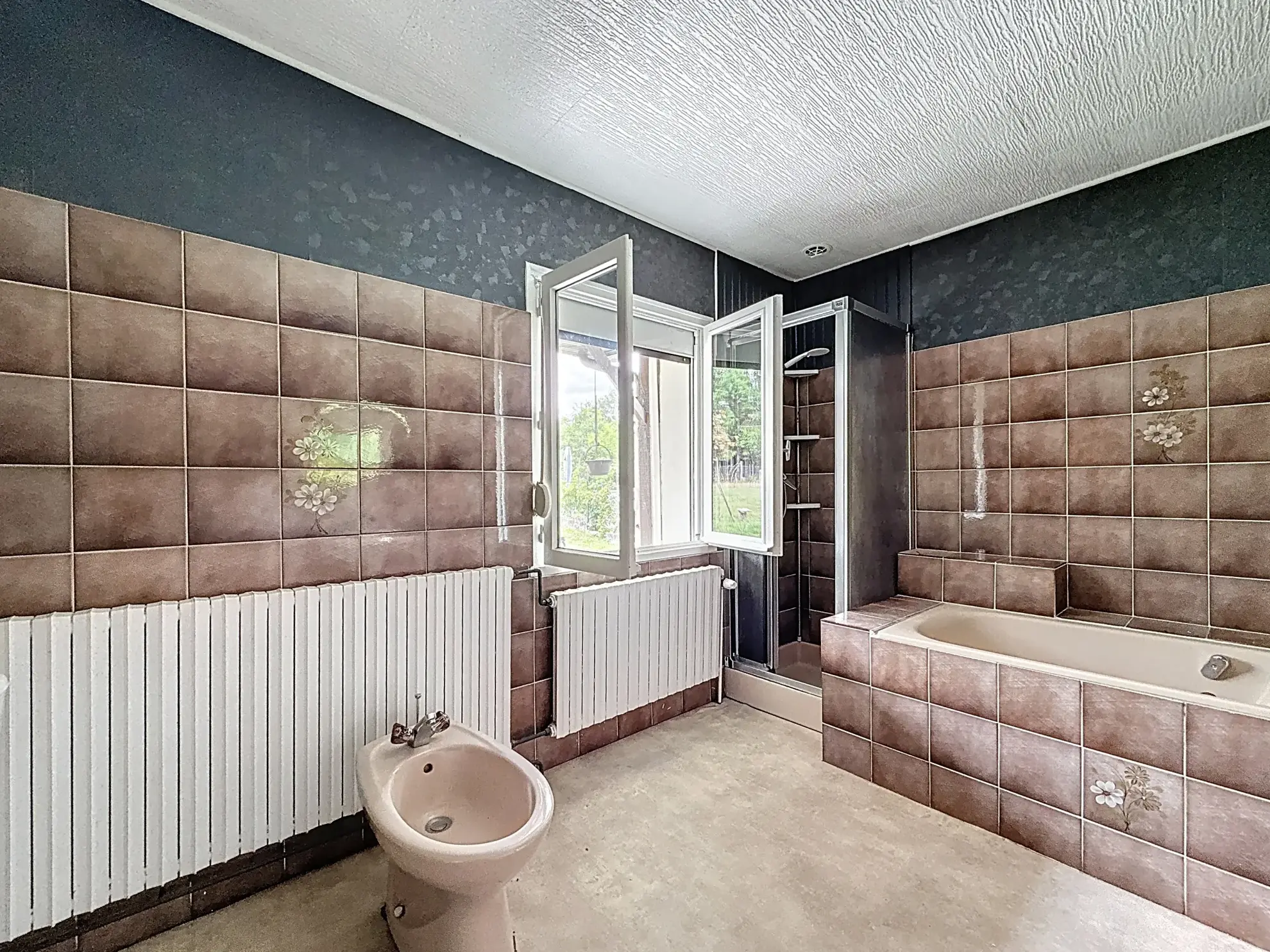 Maison individuelle à vendre à Remoncourt près de Mirecourt et Vittel avec terrain arboré 