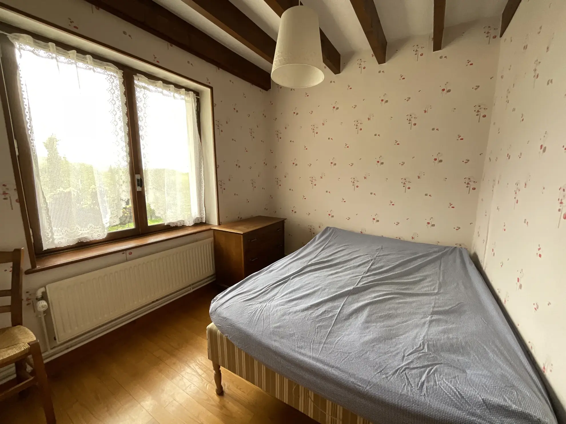 Maison familiale à Saint-Sorlin-De-Morestel avec 4 chambres et grand jardin 