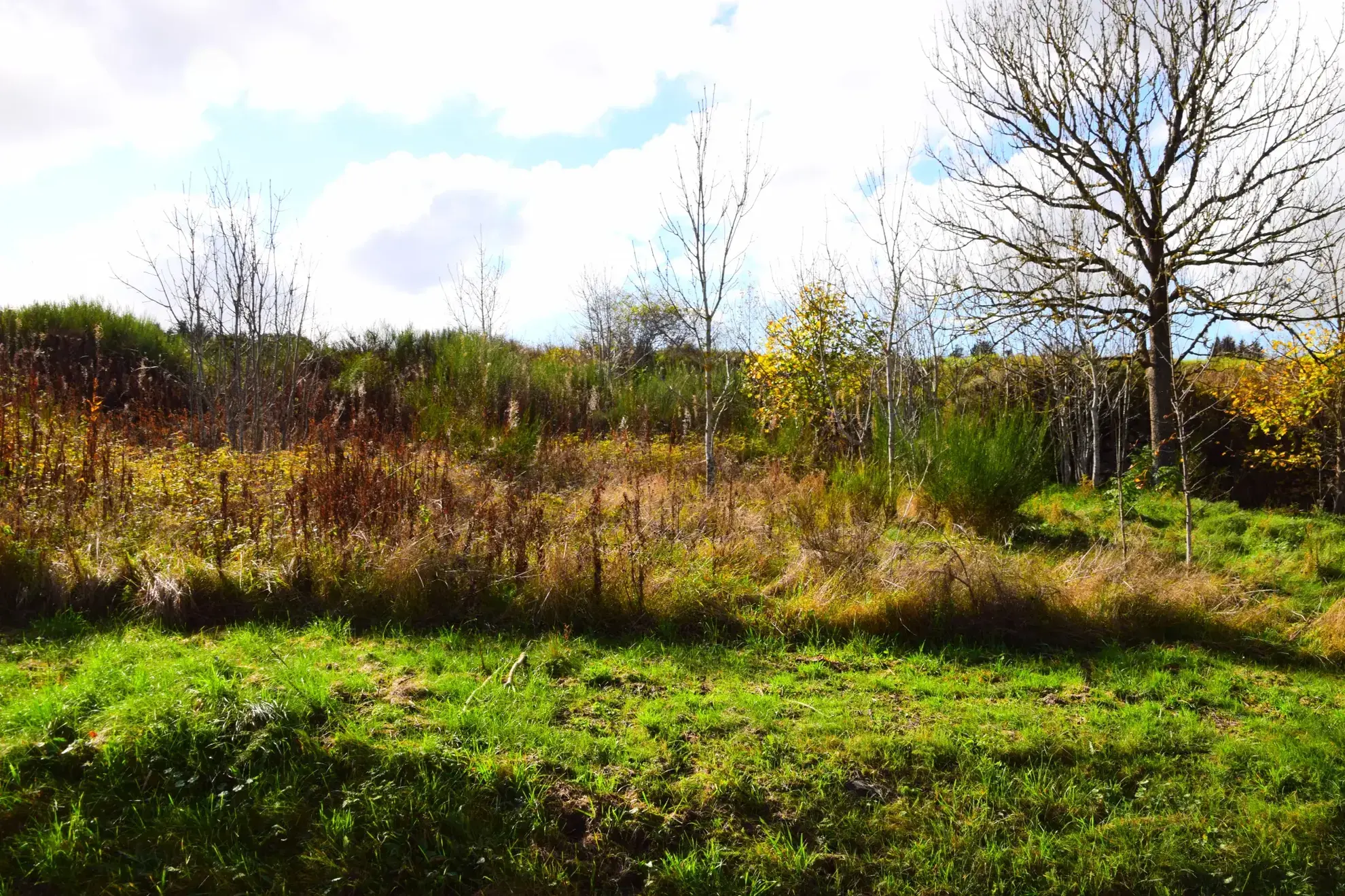 Terrain constructible de 900 m² à Coucouron en Ardèche à vendre 