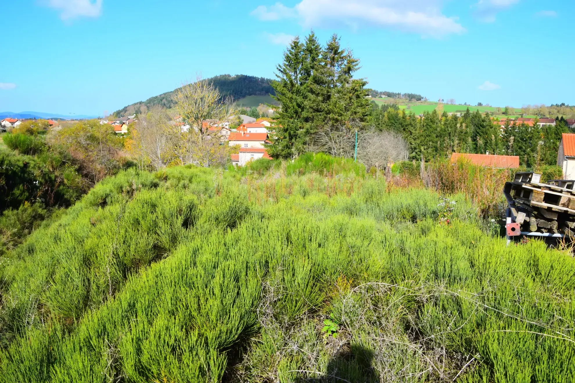 Terrain constructible de 900 m² à Coucouron en Ardèche à vendre 