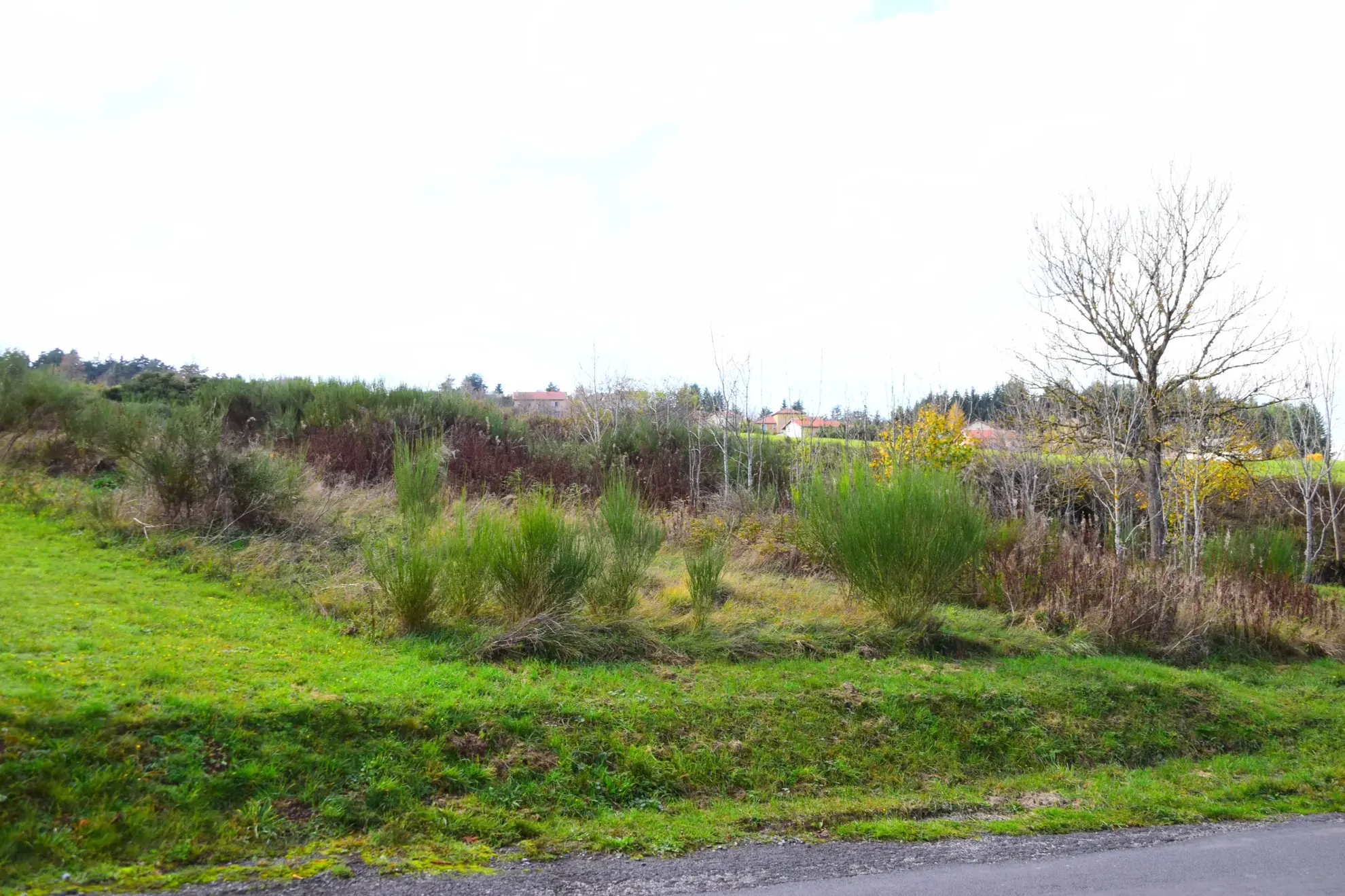 Terrain constructible de 900 m² à Coucouron en Ardèche à vendre