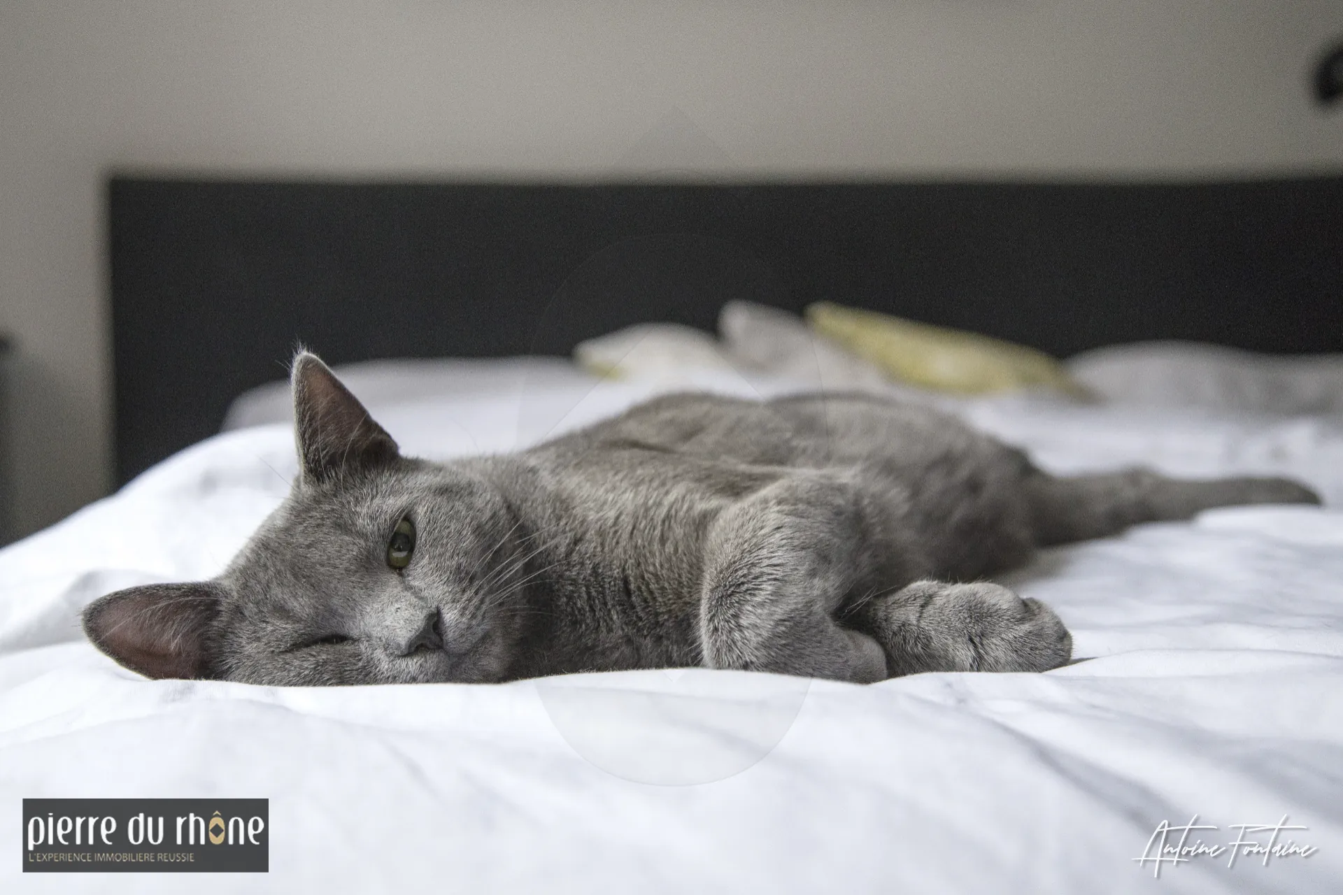 Bel appartement T3 à Villeurbanne avec balcon, garage et proximité des écoles 
