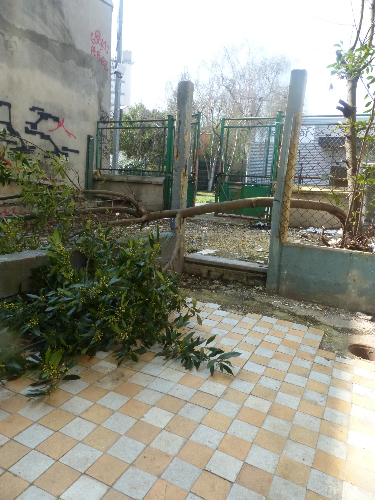 Maison de ville à Montreuil à rénover avec beaucoup de potentiel et aides financières 