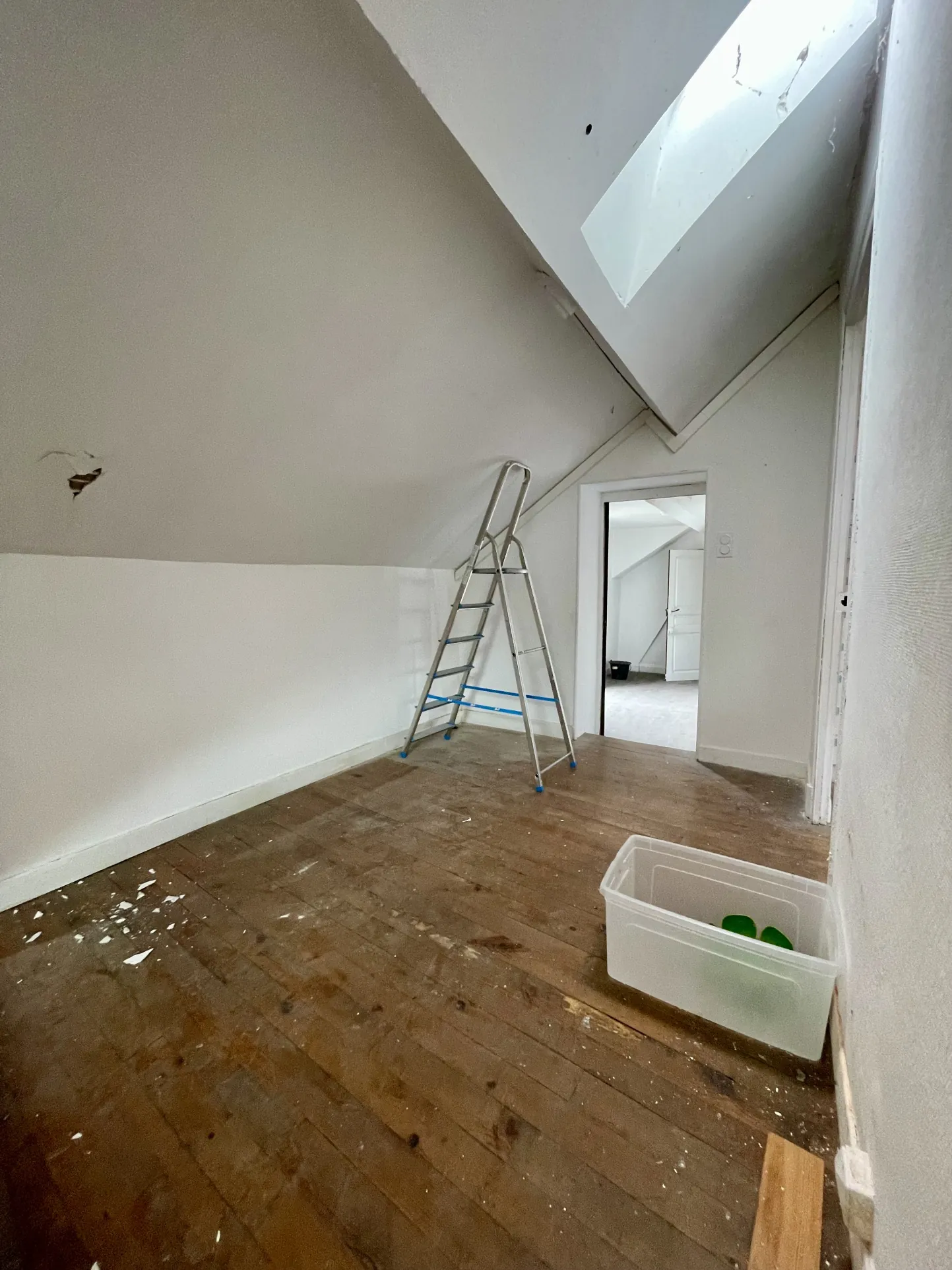 Immeuble en centre-ville de Vic-en-Bigorre de 480 m² avec jardin et parking 