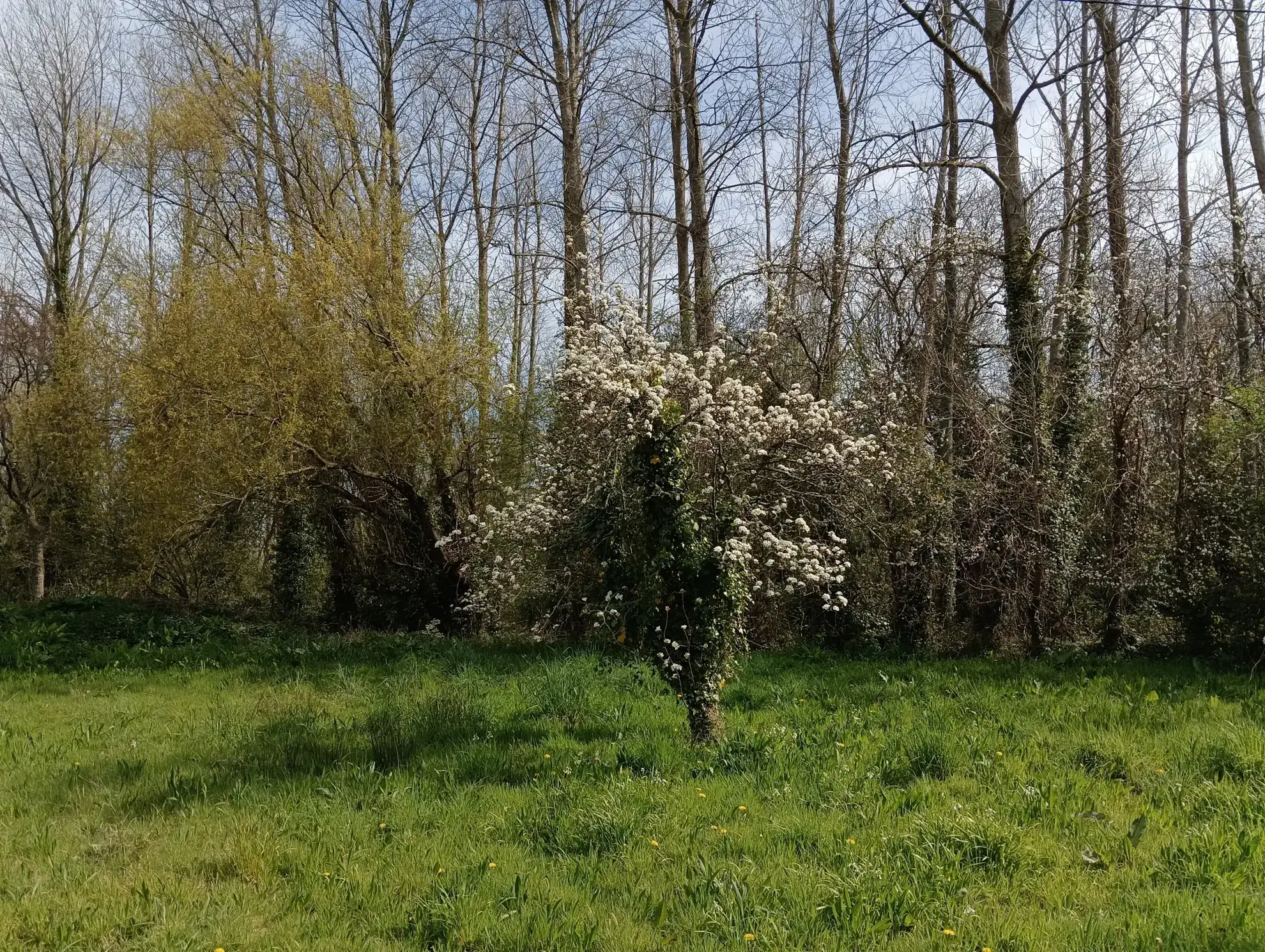 Belle maison en pierre à Tocqueville à vendre avec terrain de 900 m² 