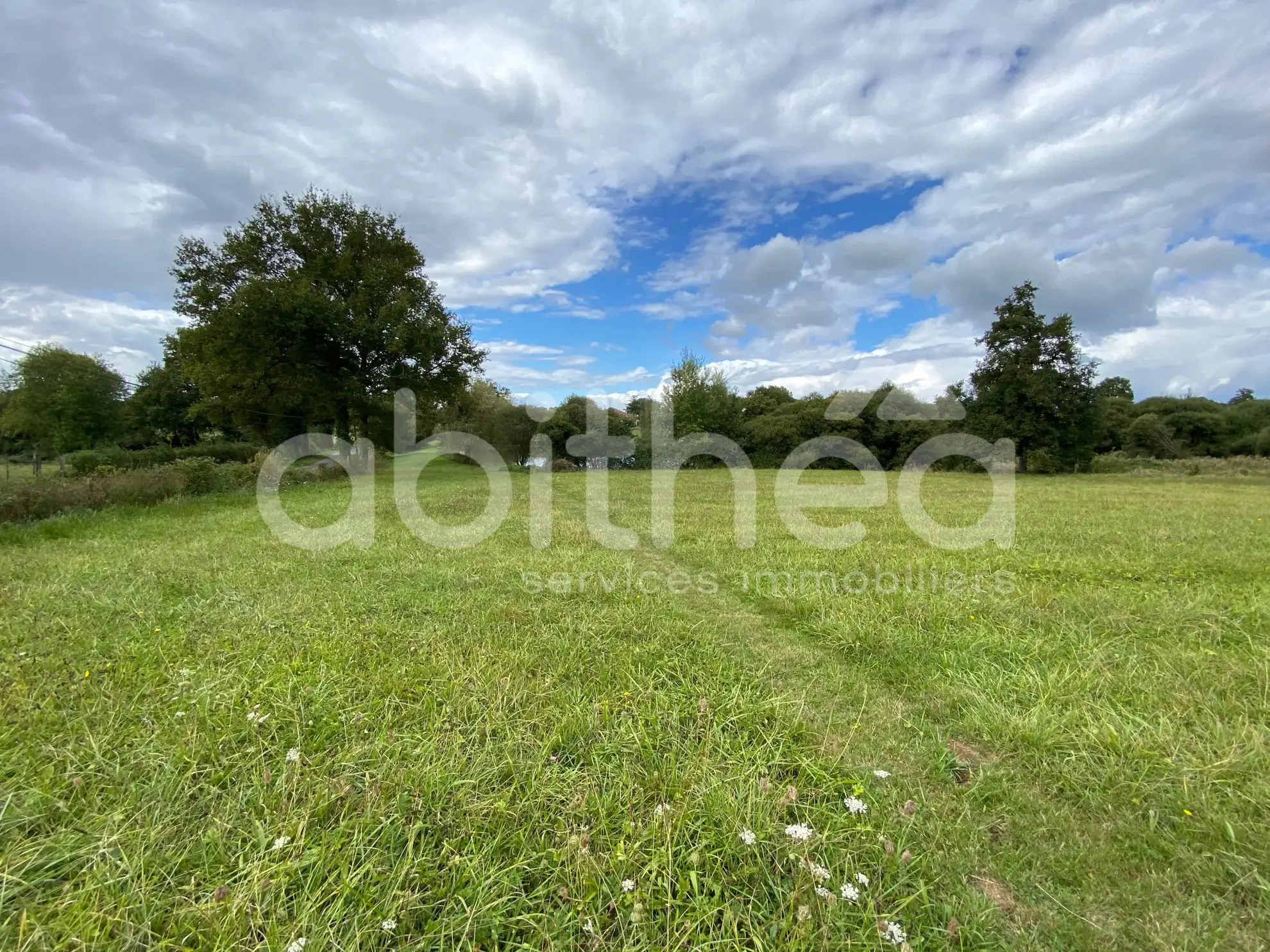 Terrain de loisirs avec deux étangs à Chabrac (16150) - Idéal pour la pêche et la détente 