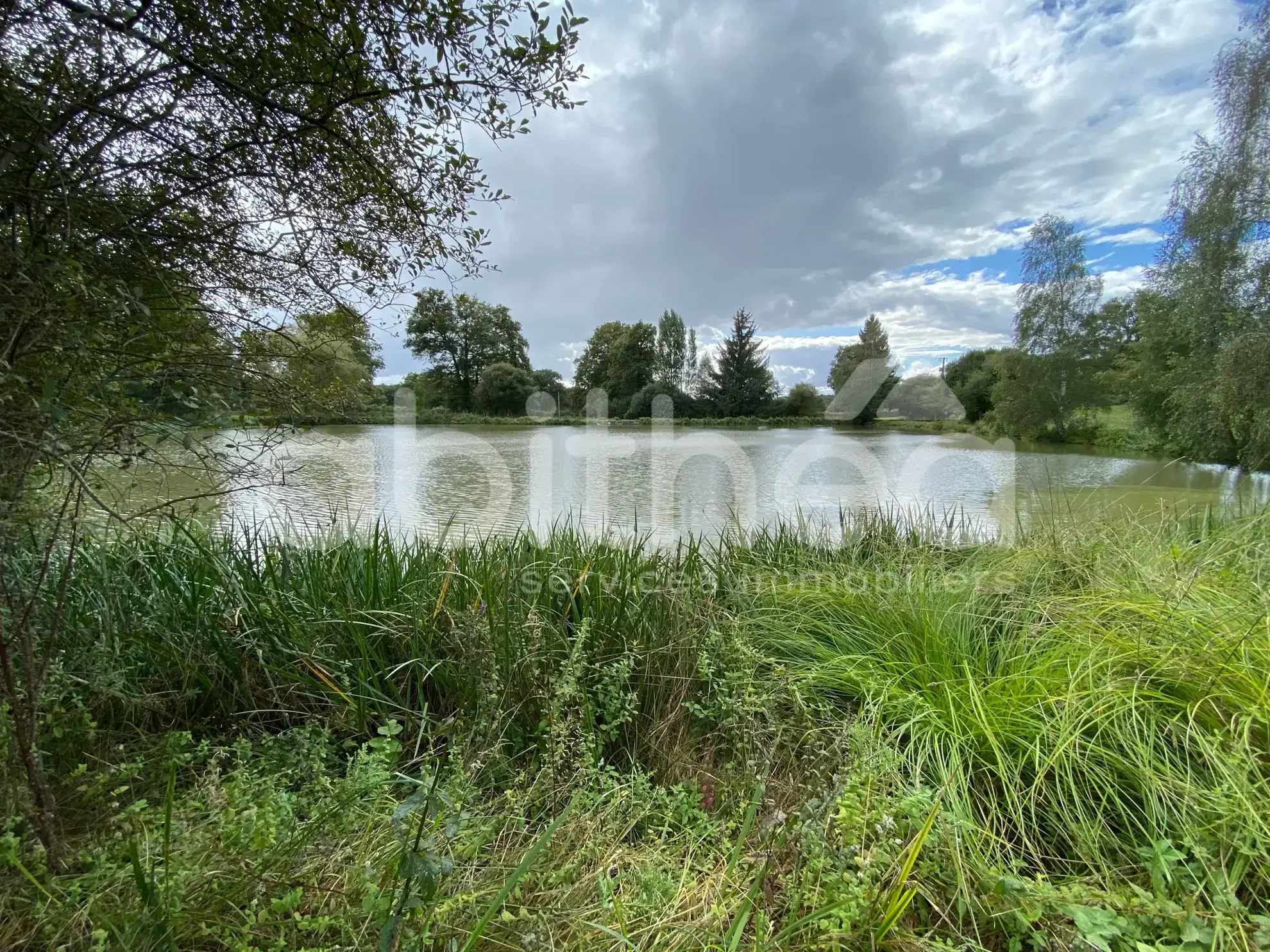 Terrain de loisirs avec deux étangs à Chabrac (16150) - Idéal pour la pêche et la détente 